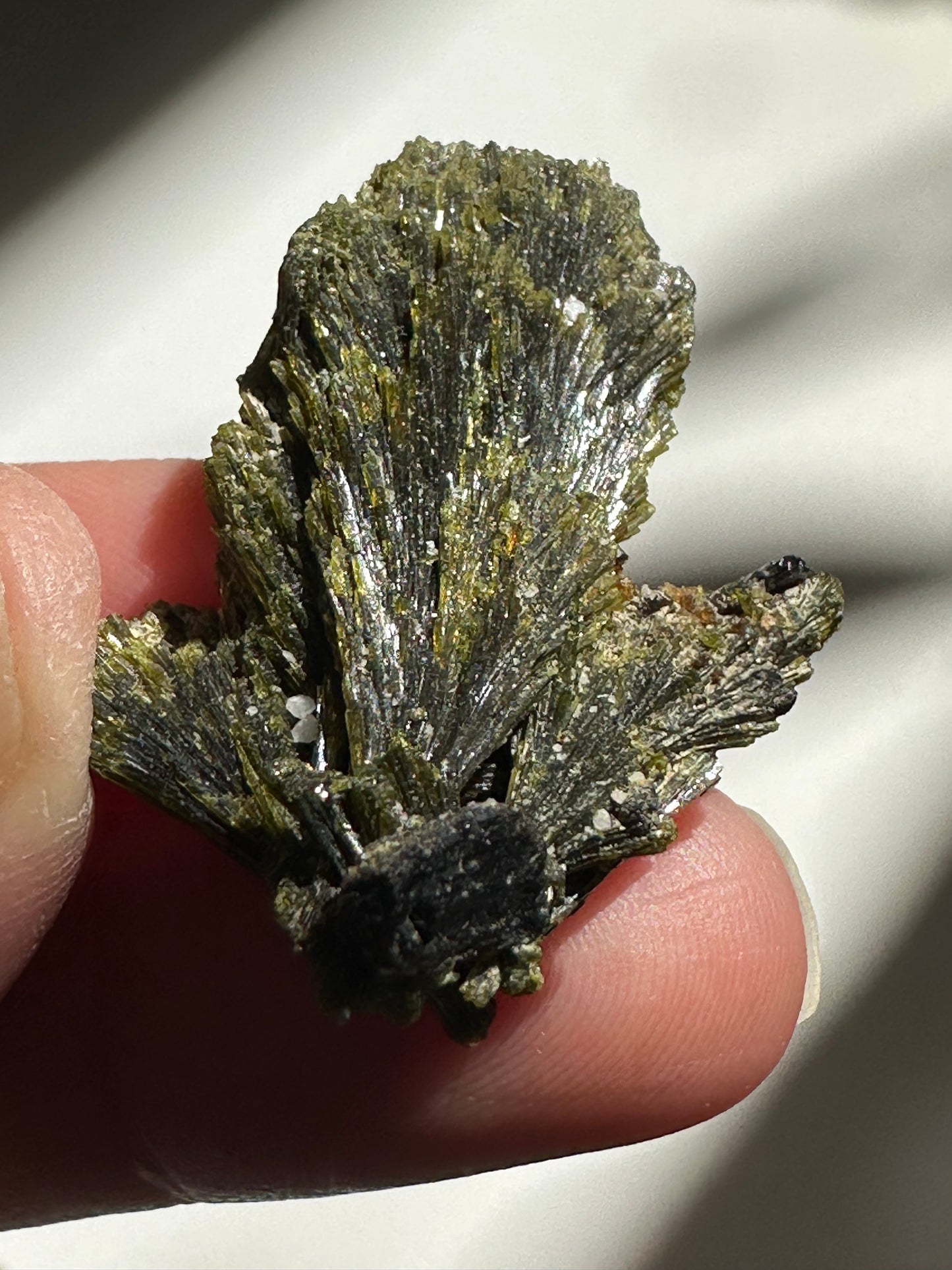 Epidote Fan