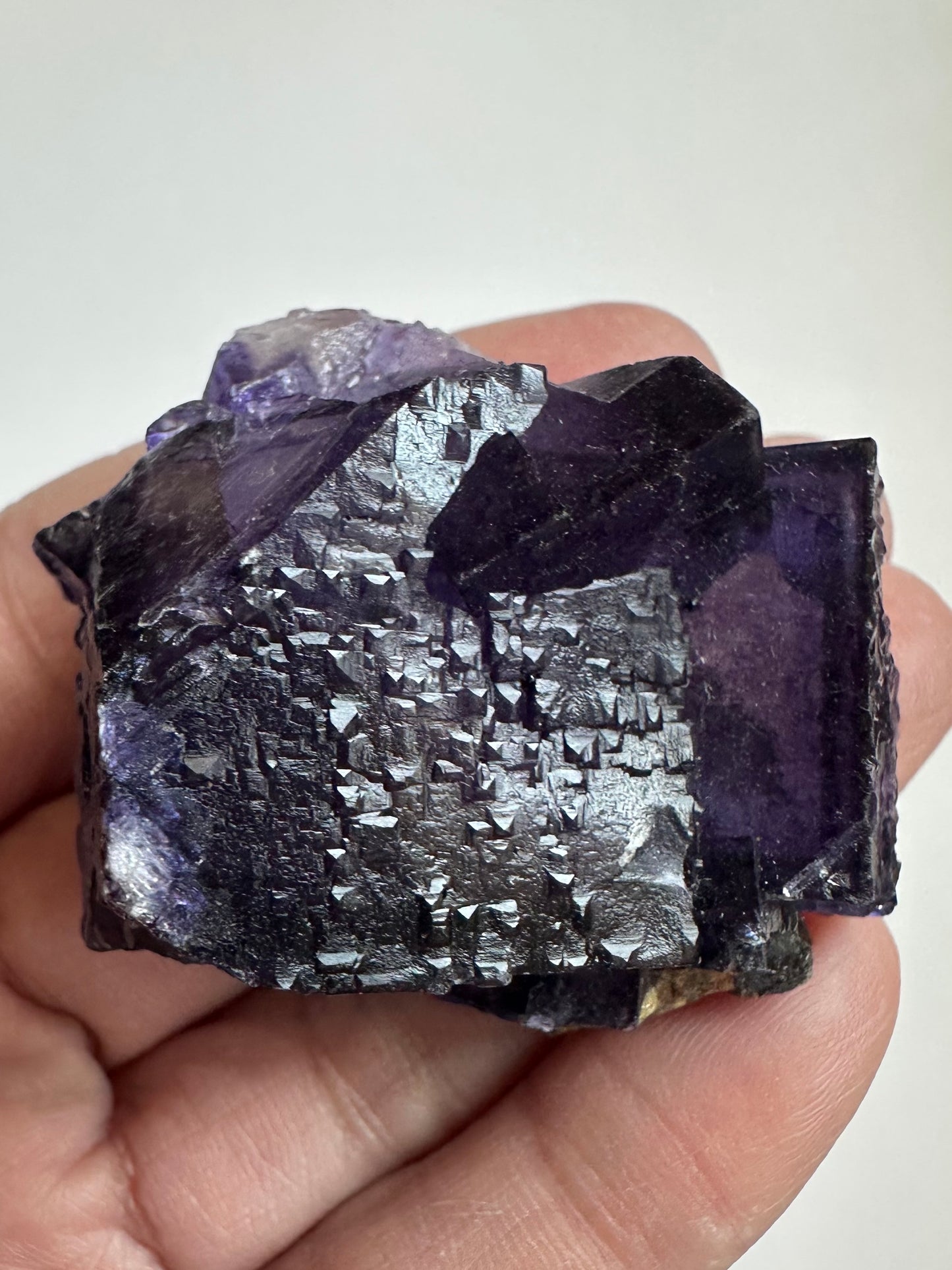 Fluorite with Sphalerite Specimen from the Elmwood Mine