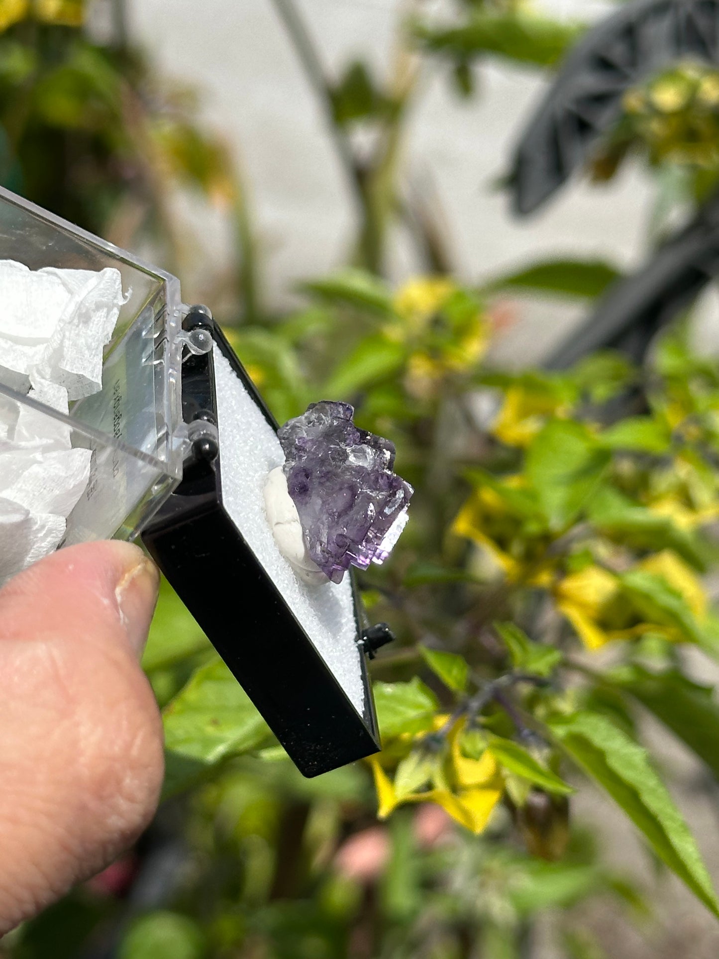 YGX Fluorite