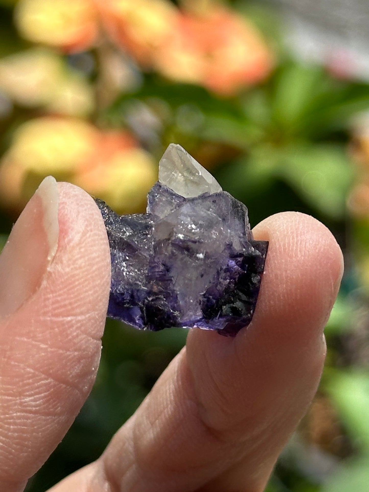 Fluorite with Calcite from the Elmwood Mine