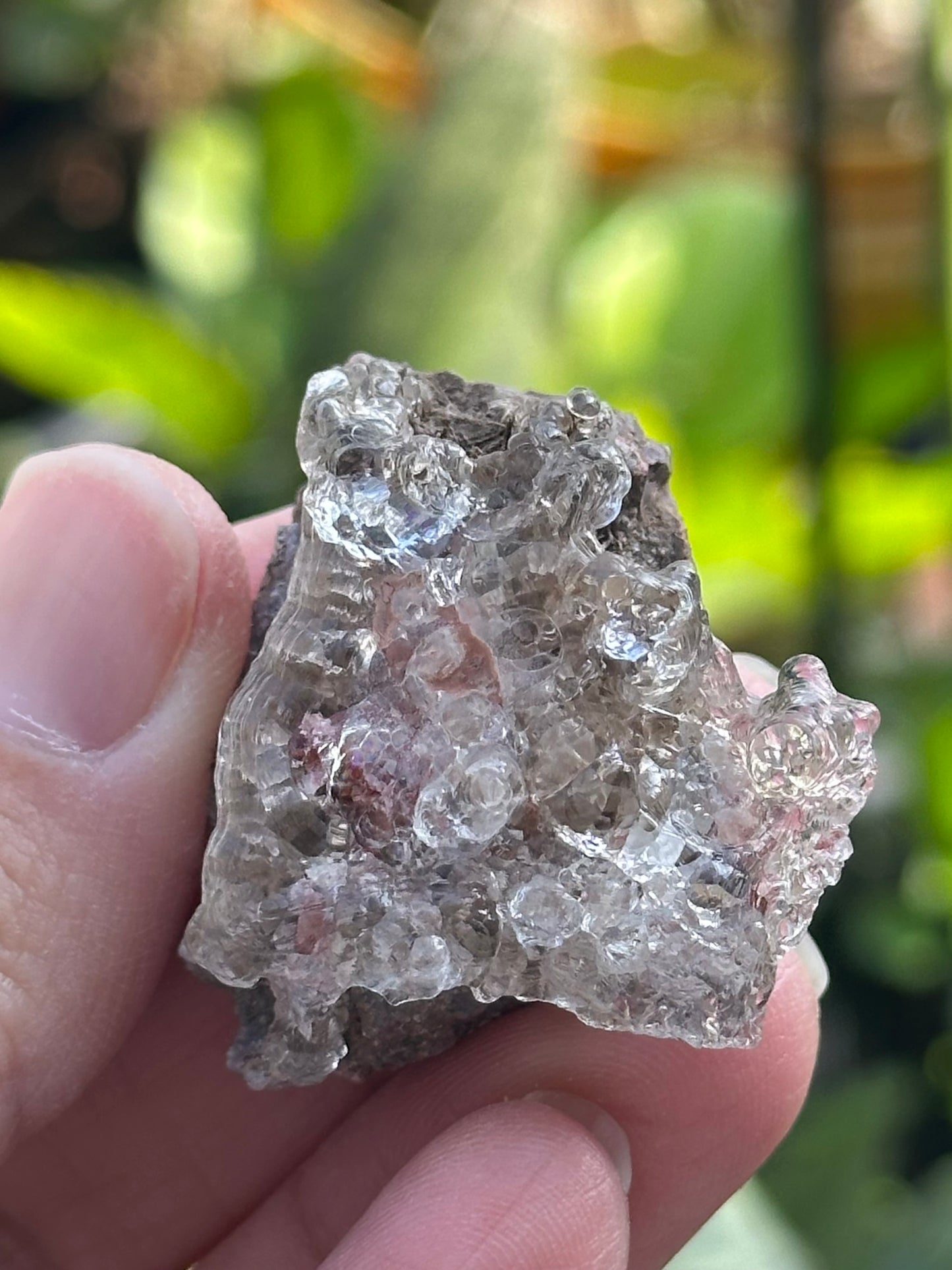 Hyalite Opal from Mexico