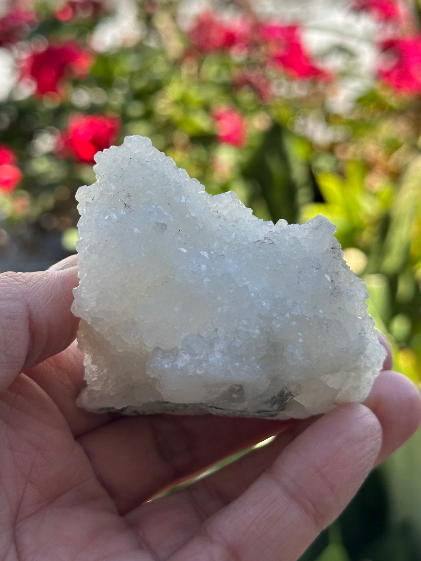 Apophyllite Specimen from India