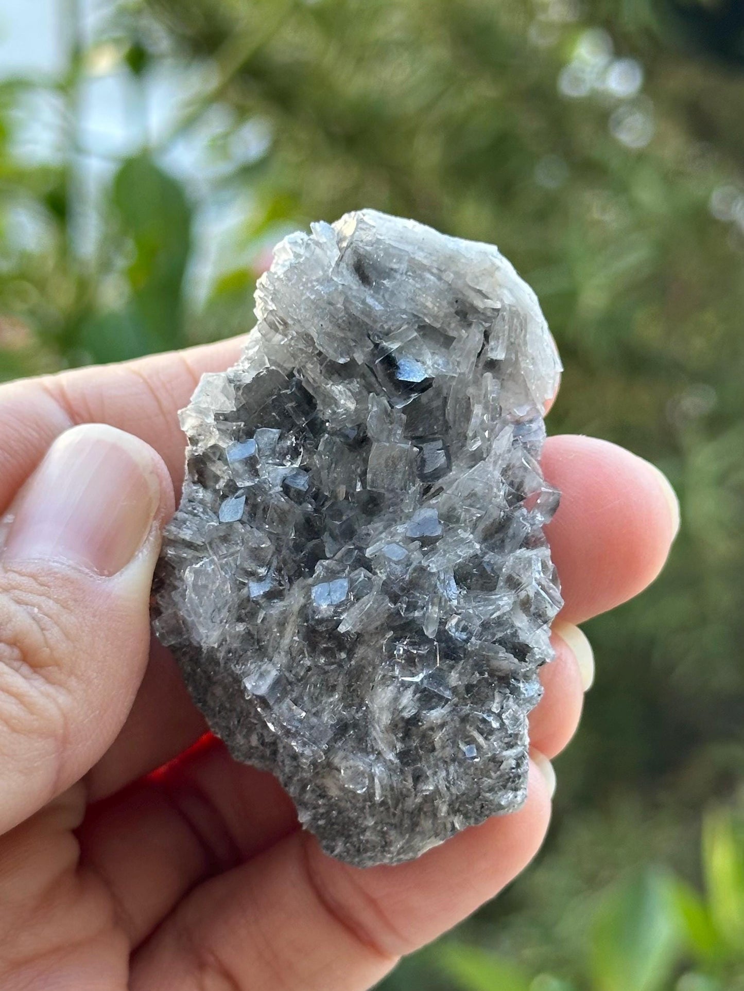 Fluorite with Barite from the Emilio Mine