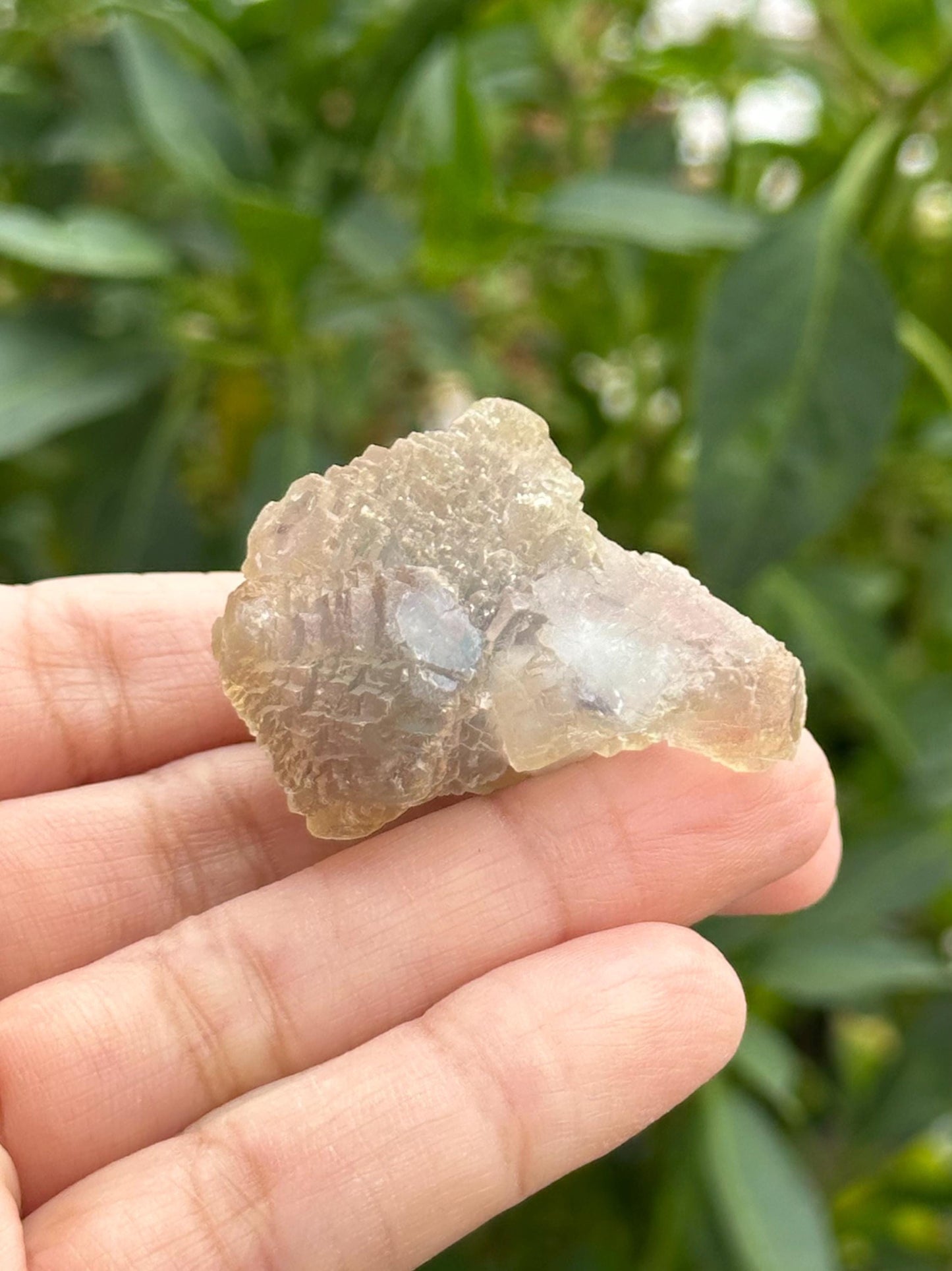 Fluorite Specimen-UV Reactive
