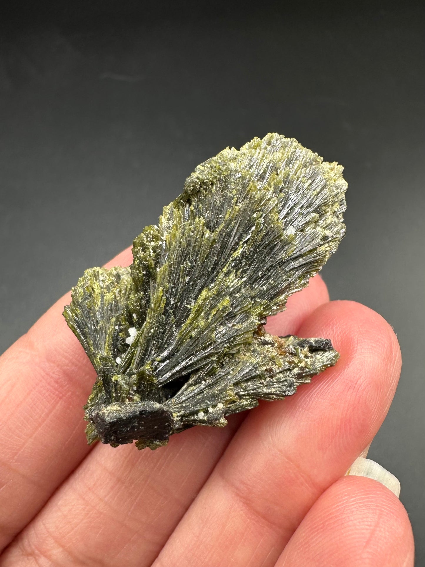 Epidote Fan