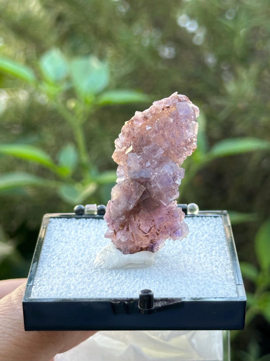 QR Code Fluorite in a perky box from the Quinlong Mine