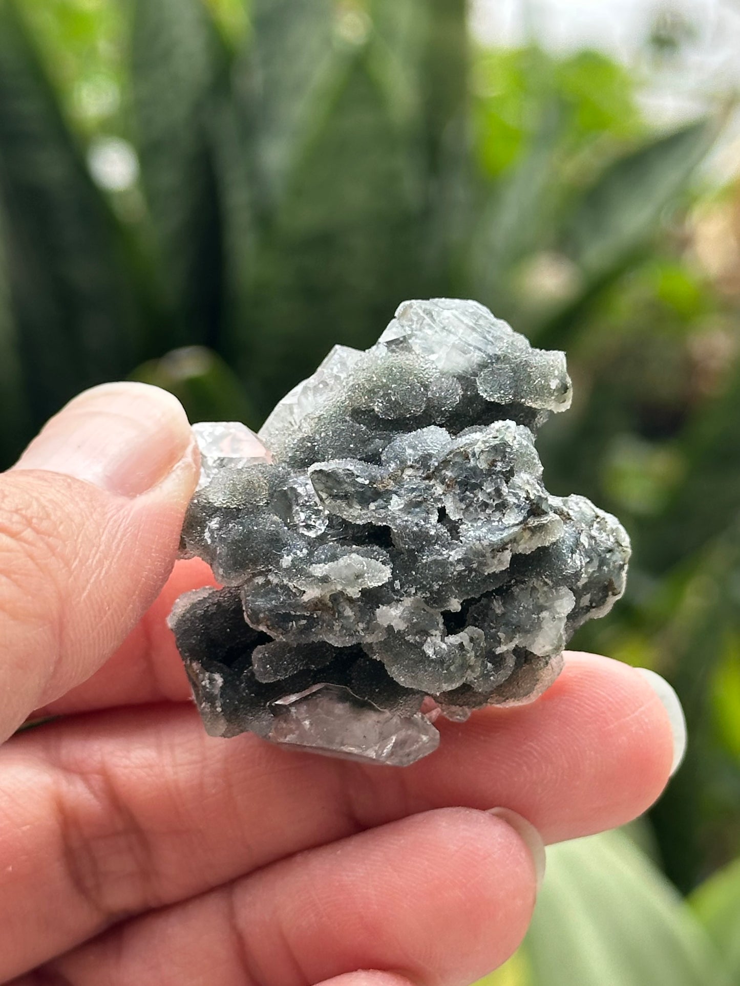 Black Chalcedony with Apophyllite