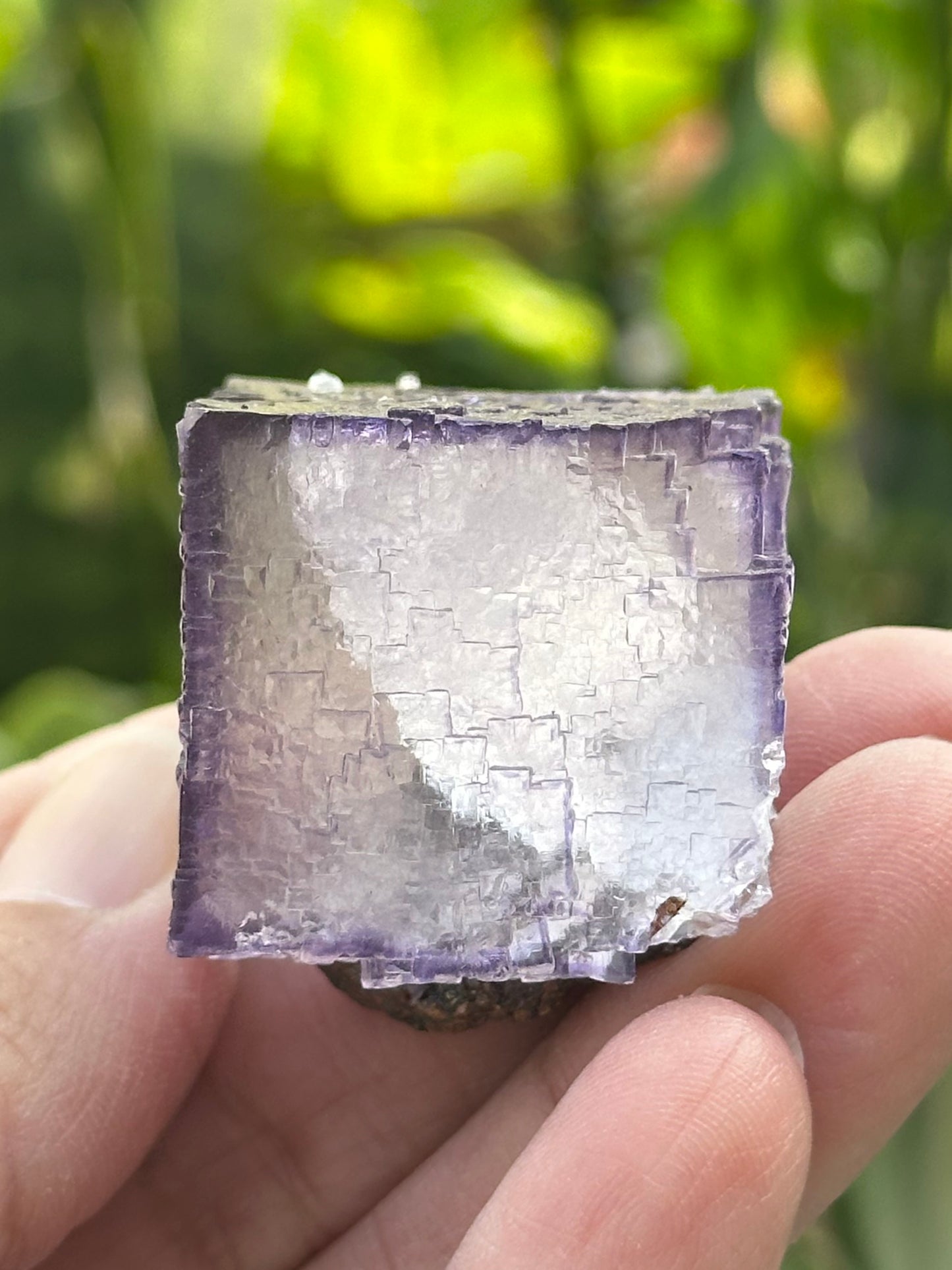 Fluorite Cube from the Elmwood Mine