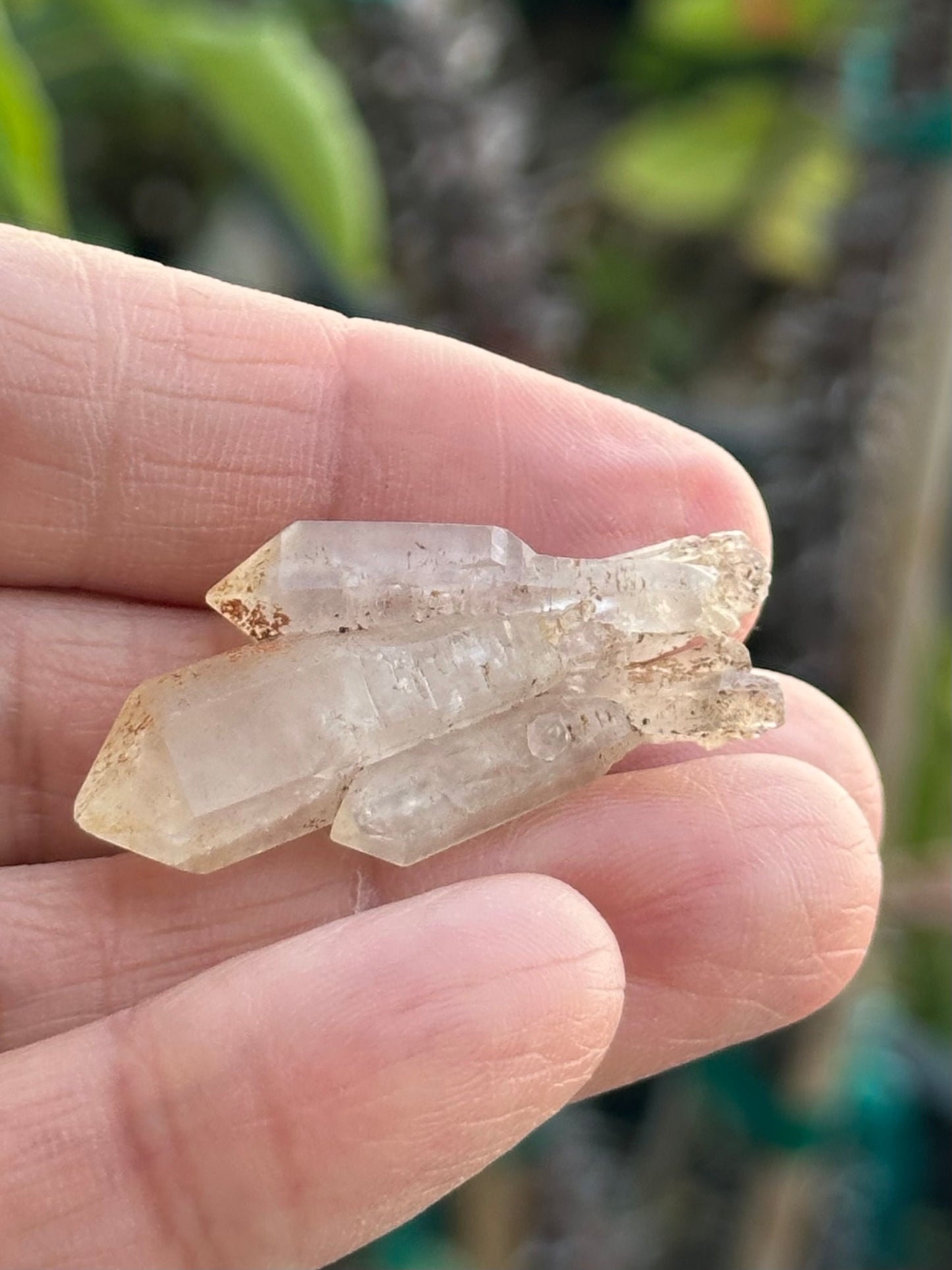 Quartz Scepter