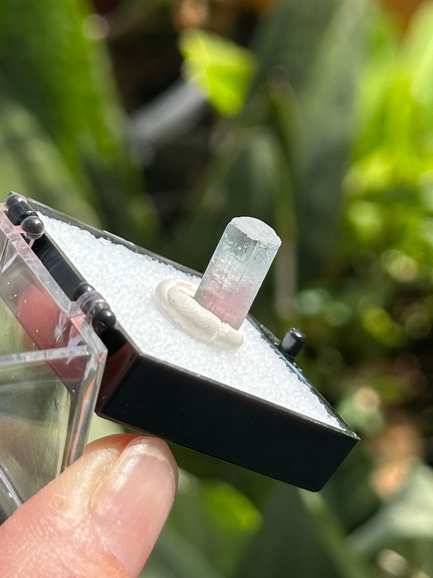 Paprok Tourmaline