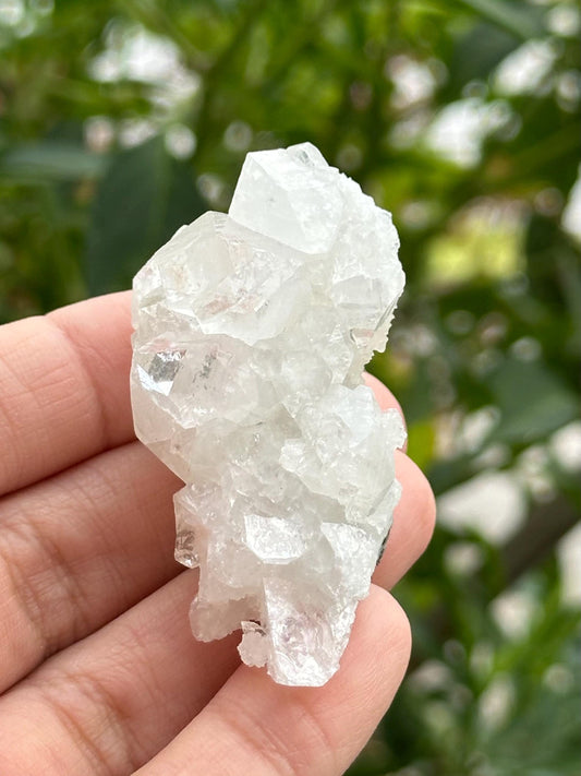 Apophyllite from India