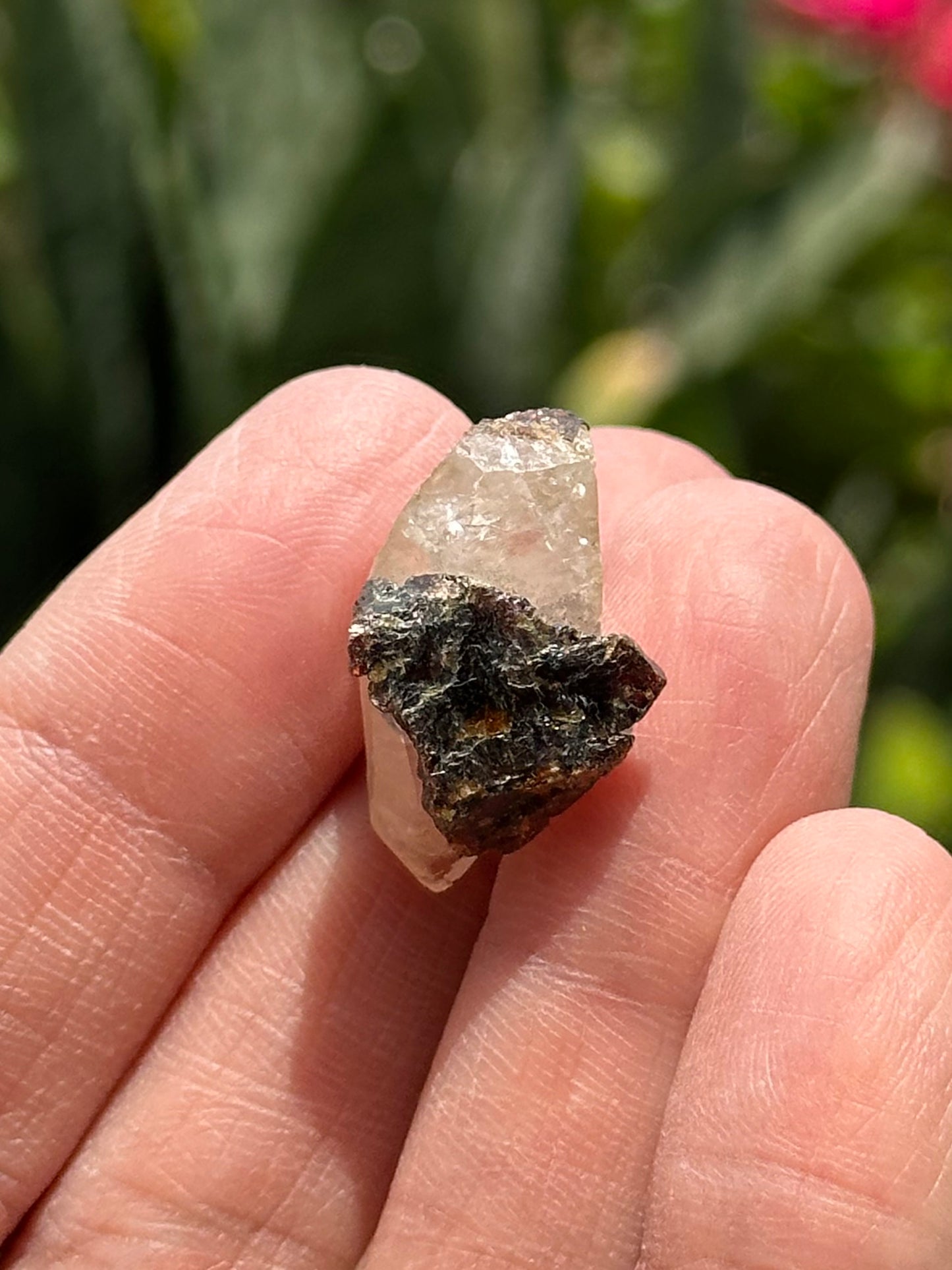 Calcite with Sphalerite from the Elmwood Mine