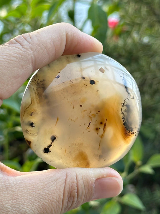 Dendritic Agate Palm Stone