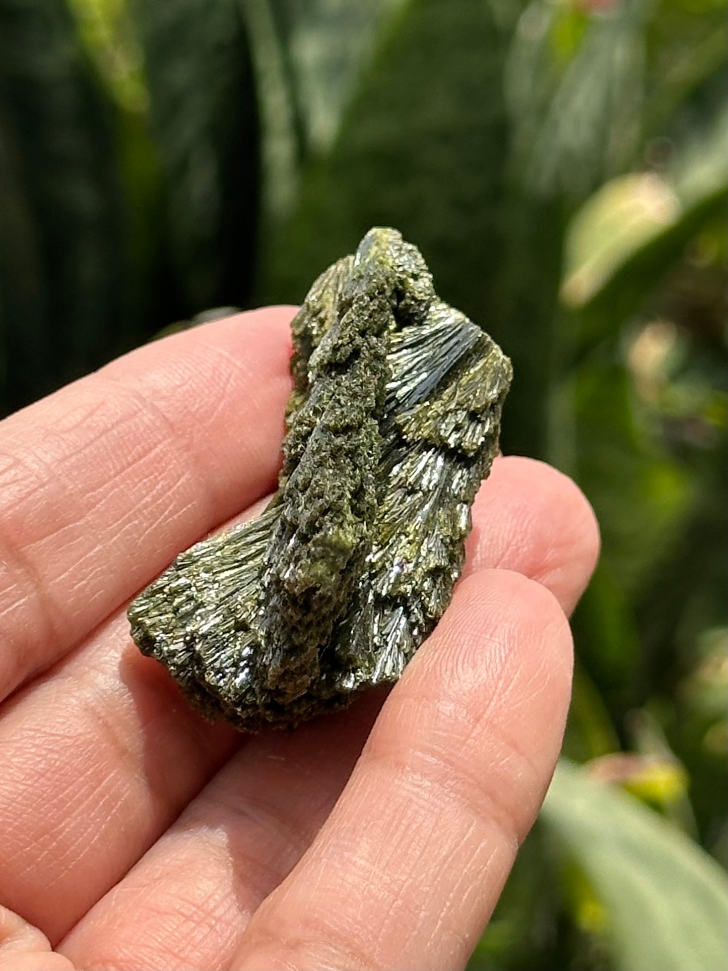 Epidote Fan