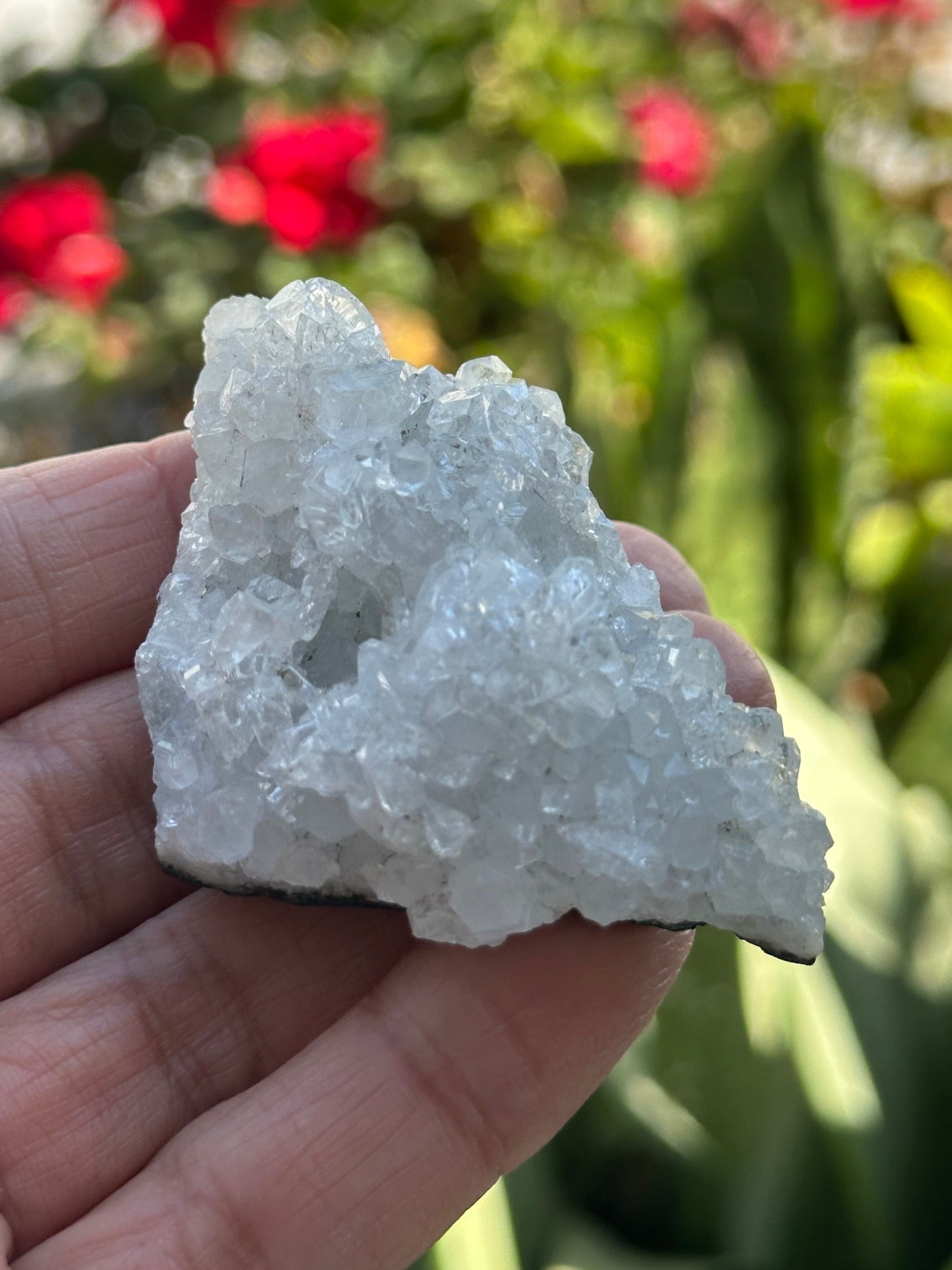 Apophyllite Crystal