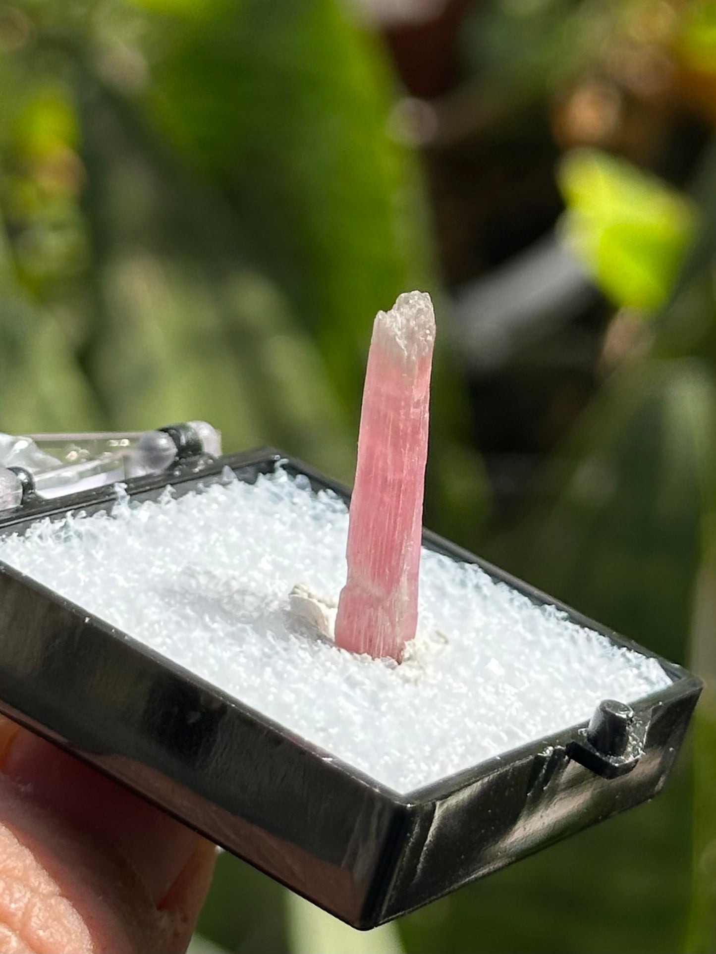 Tourmaline Specimen from Kunar Valley