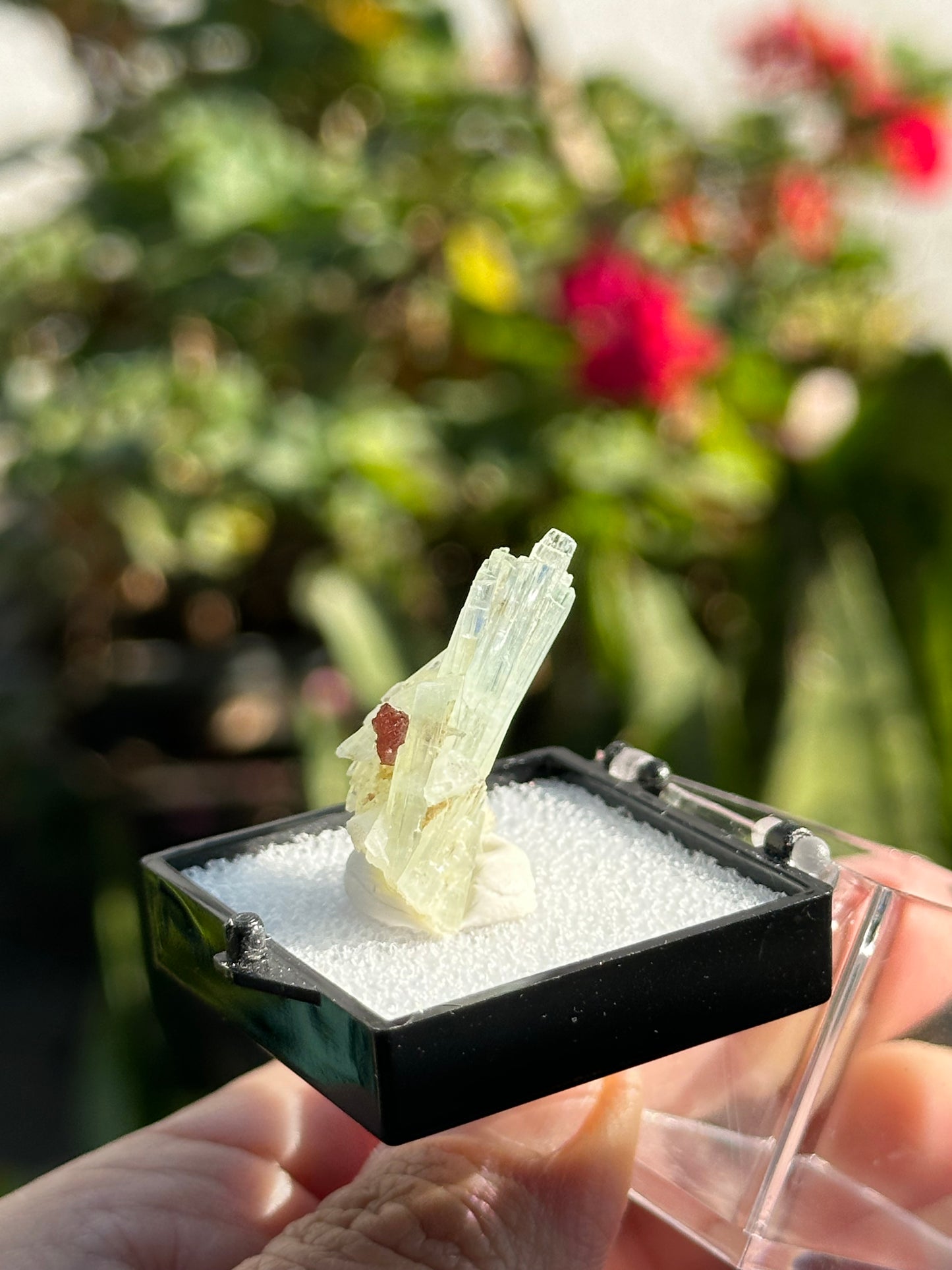 Aquamarine with Garnet
