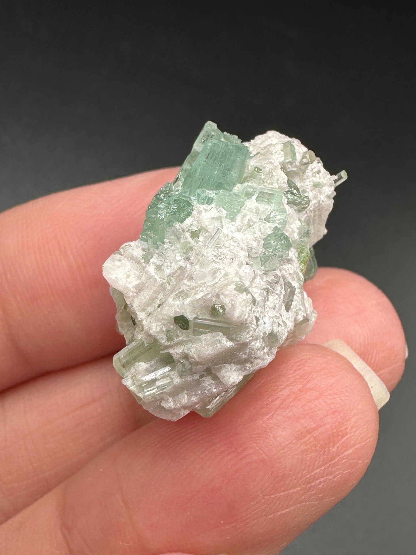 Tourmaline in Quartz