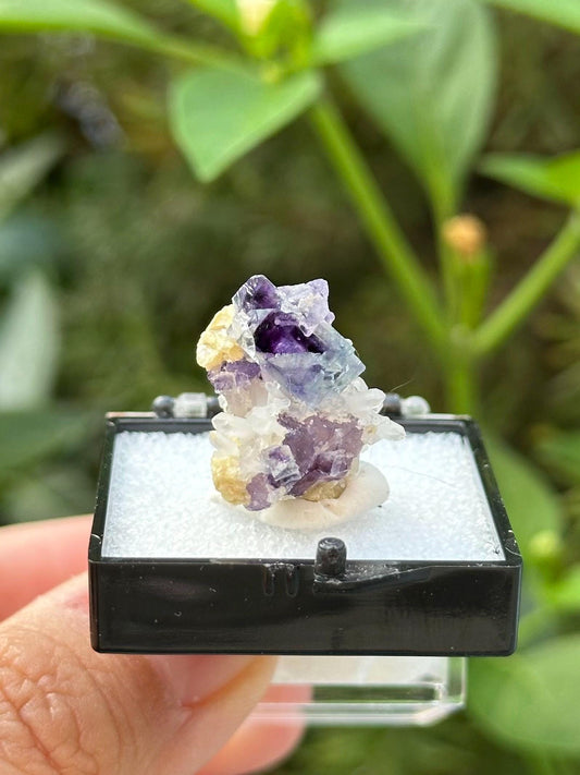 Fluorite with Quartz from the Yindu Mine, Inner Mongolia, China