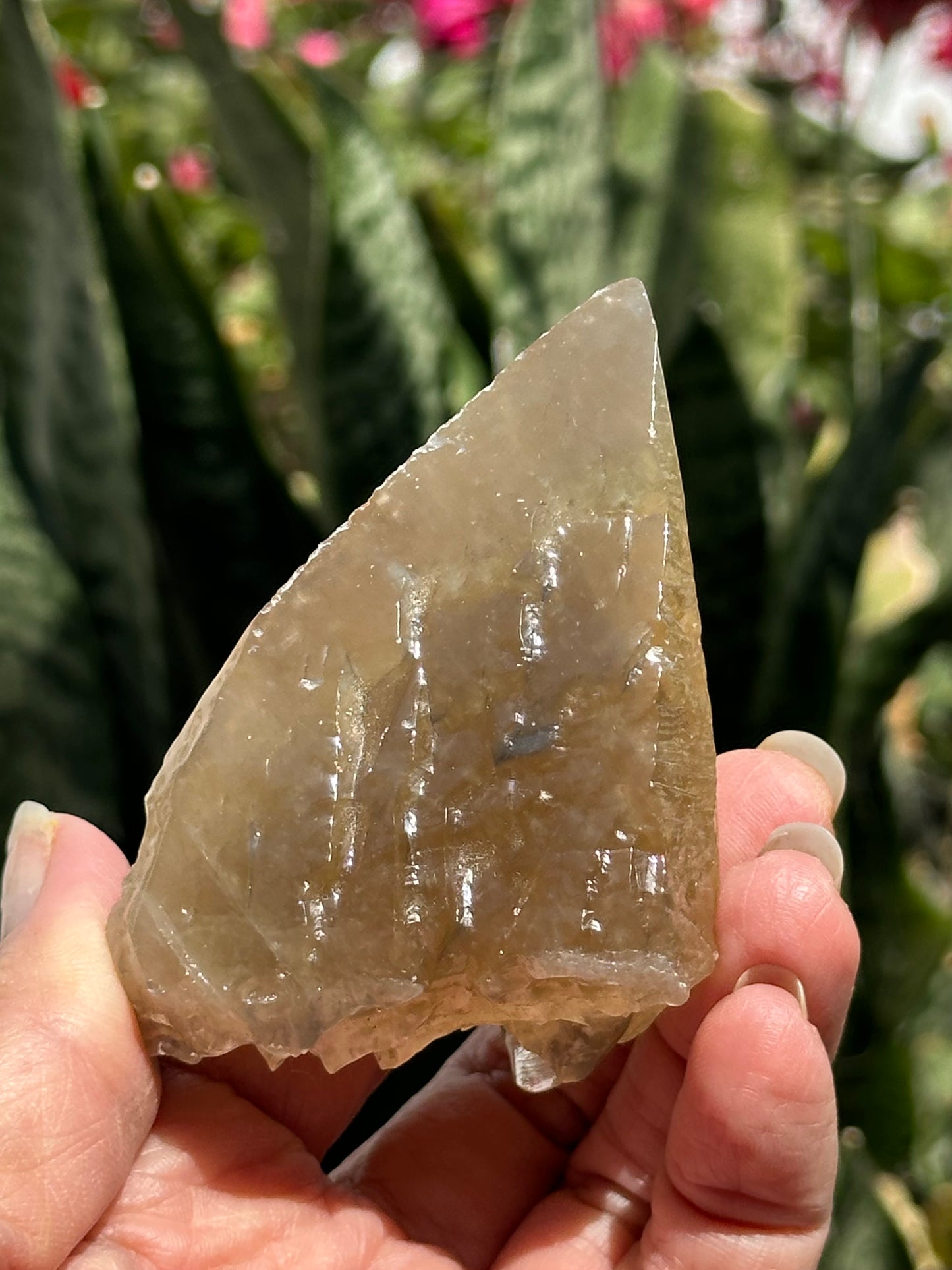 Etched Calcite with Galena