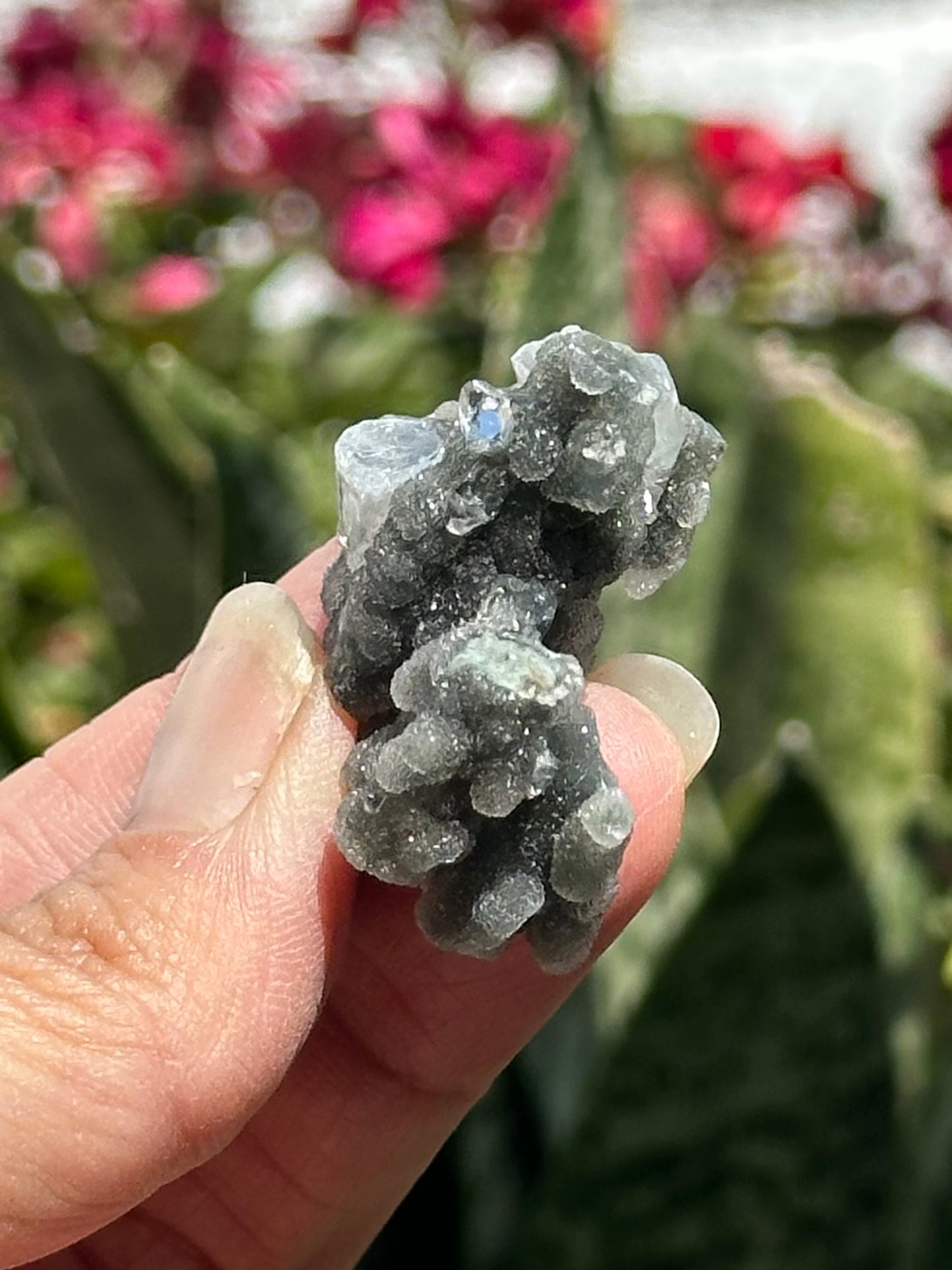 Black Chalcedony with Apophyllite