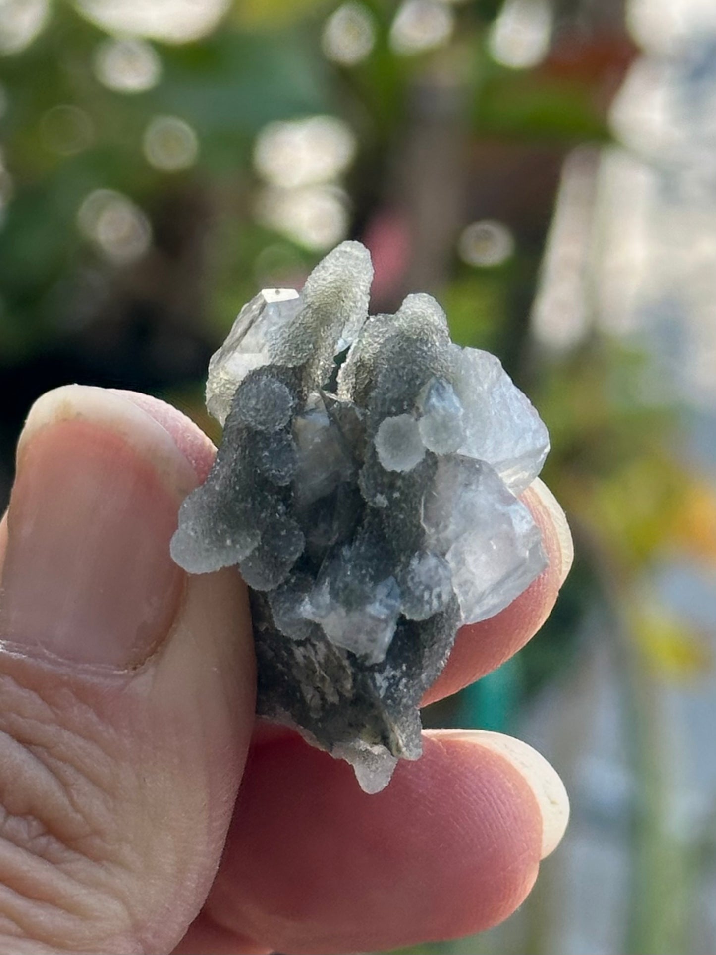 Black Chalcedony with Apophyllite