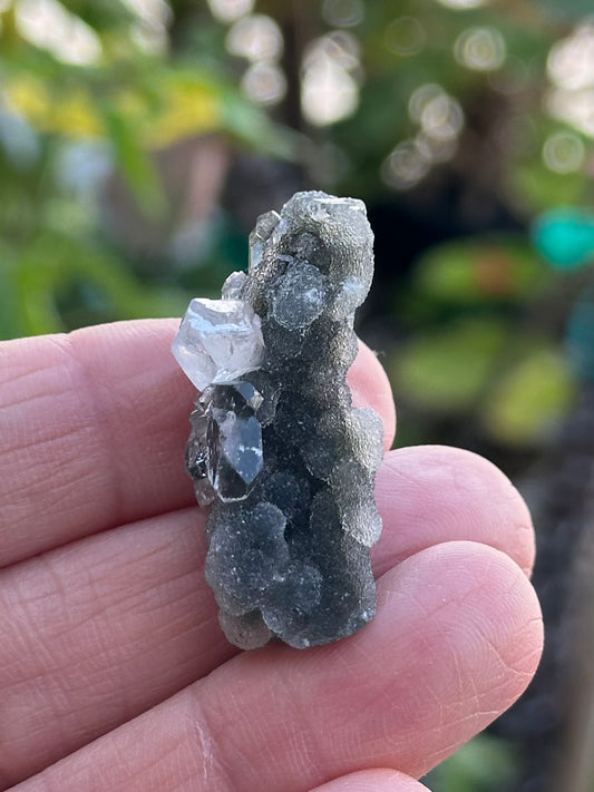 Black Chalcedony with Apophyllite