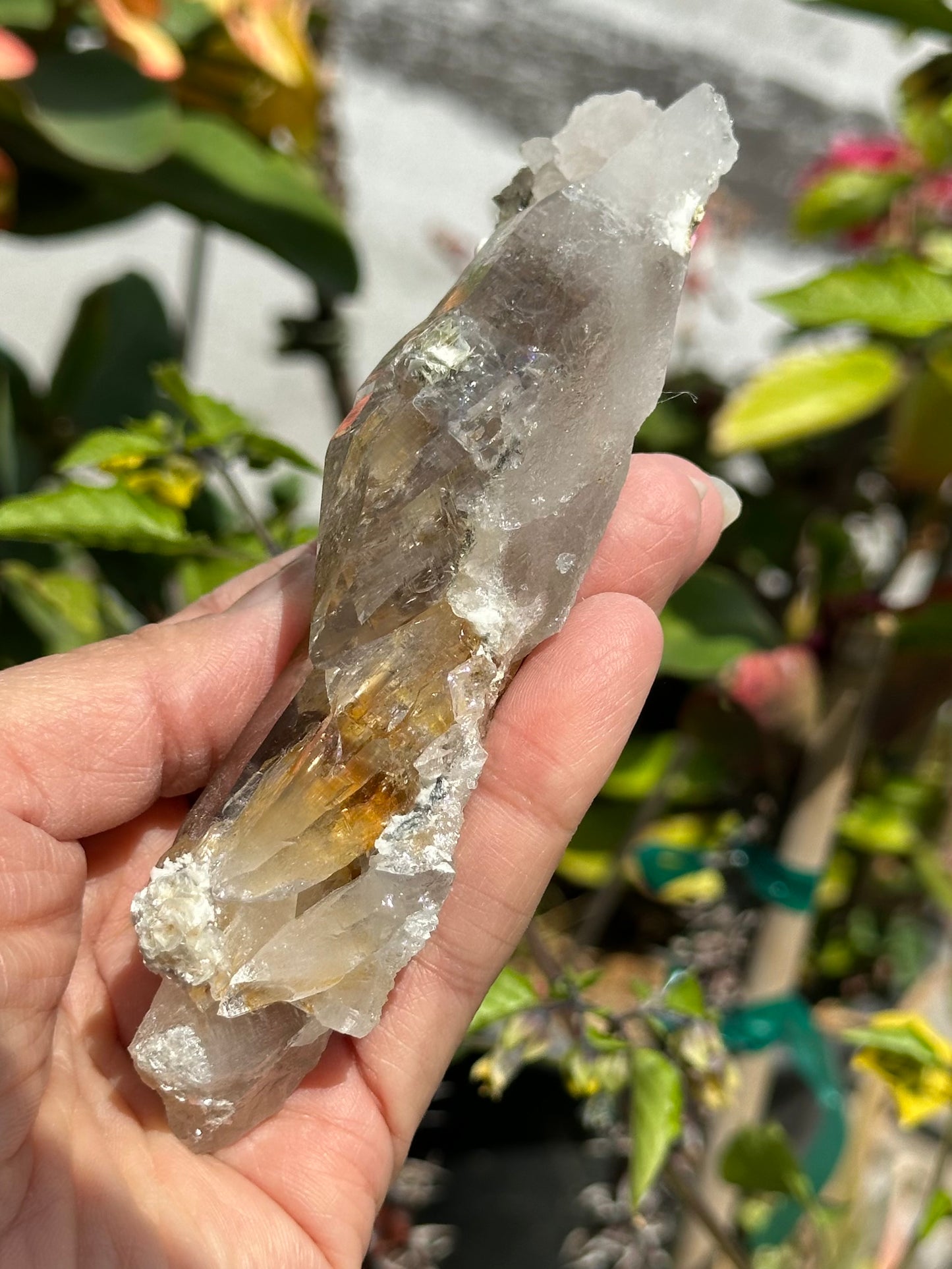 Swiss Quartz Specimen