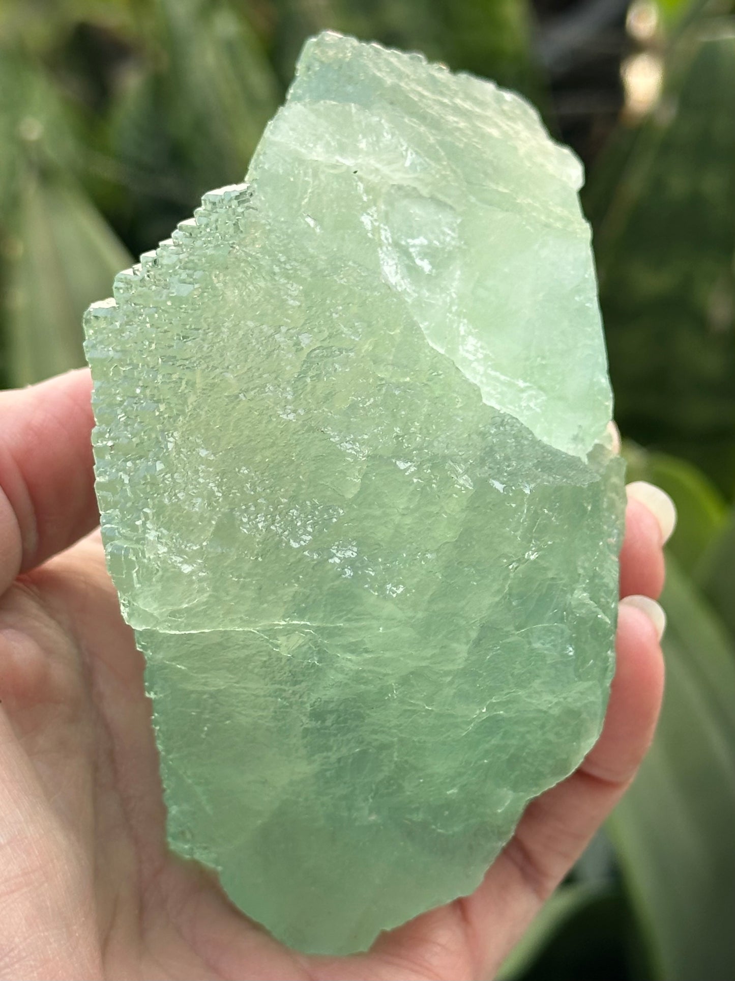 Green Fluorite from the Manaoshan Mine