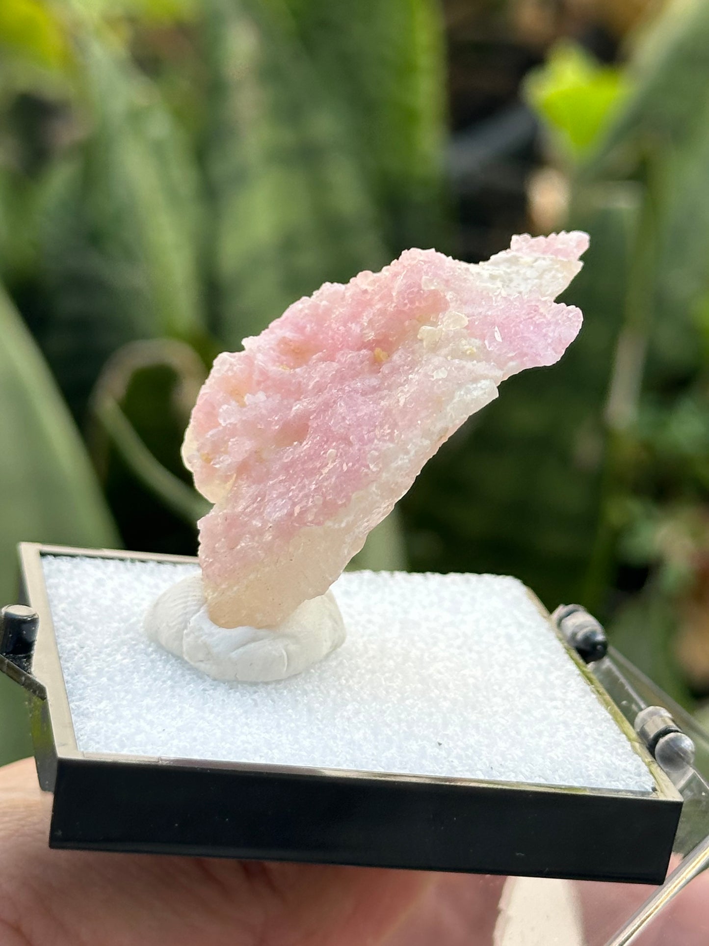 Crystallized Rose Quartz on Quartz
