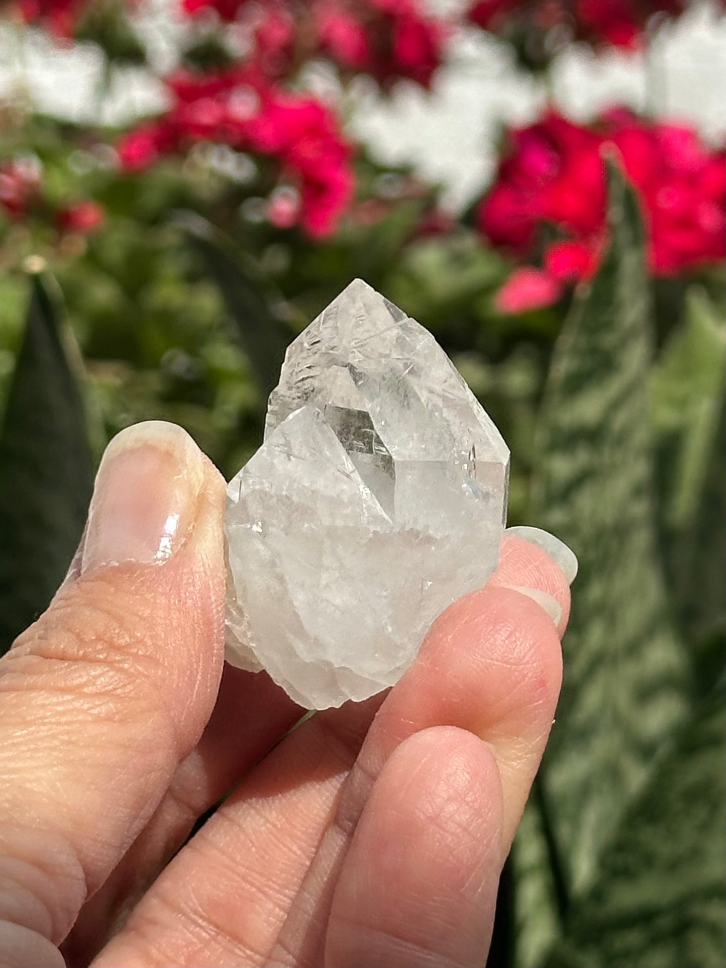 Swiss Quartz Crystal