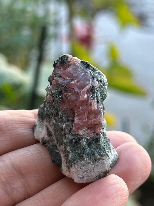 Rhodochrosite on Matrix
