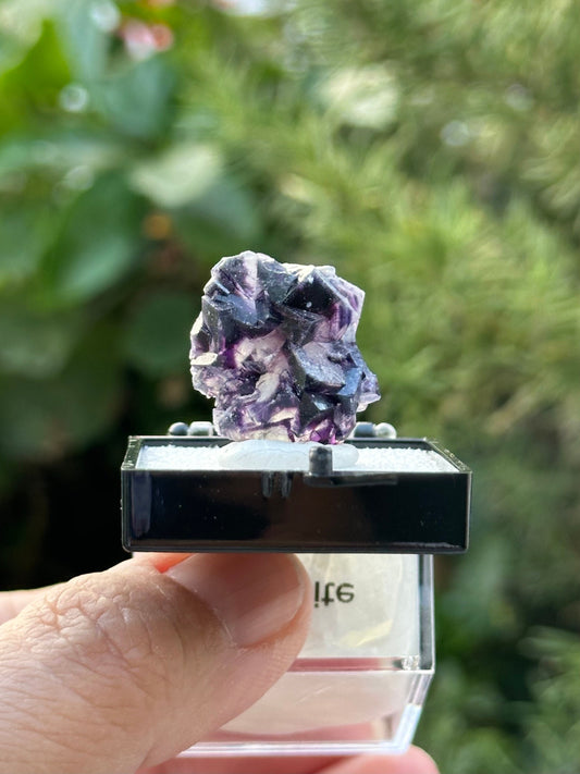 Fluorite in a perky box from the Yindu Mine, Inner Mongolia, China
