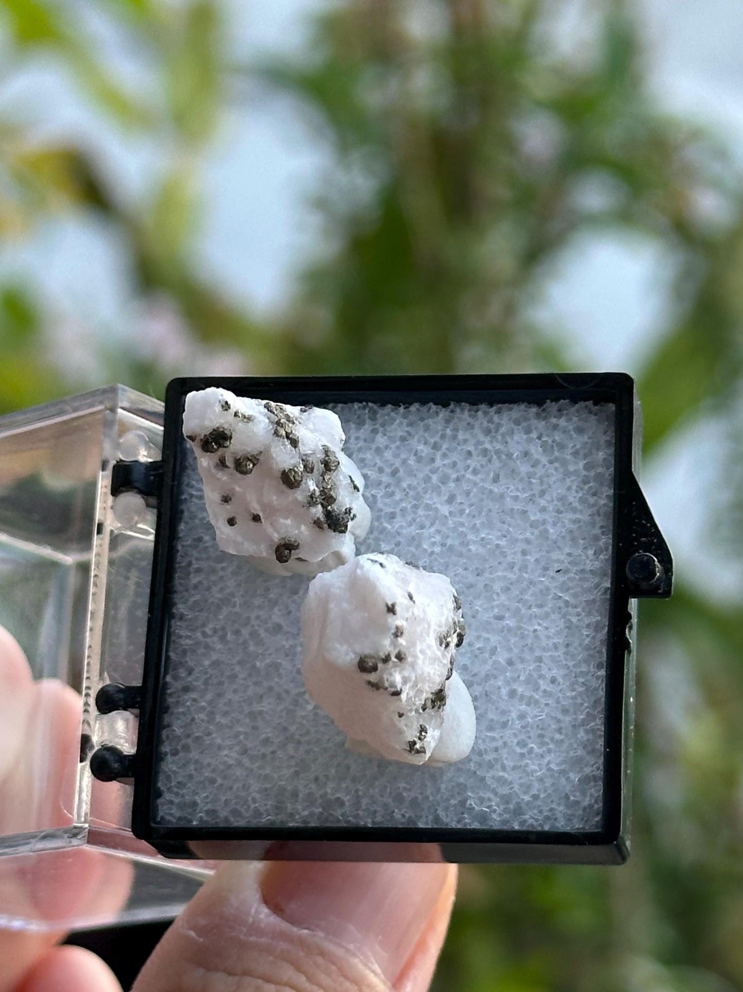 Calcite and Pyrite from Yaogangxian