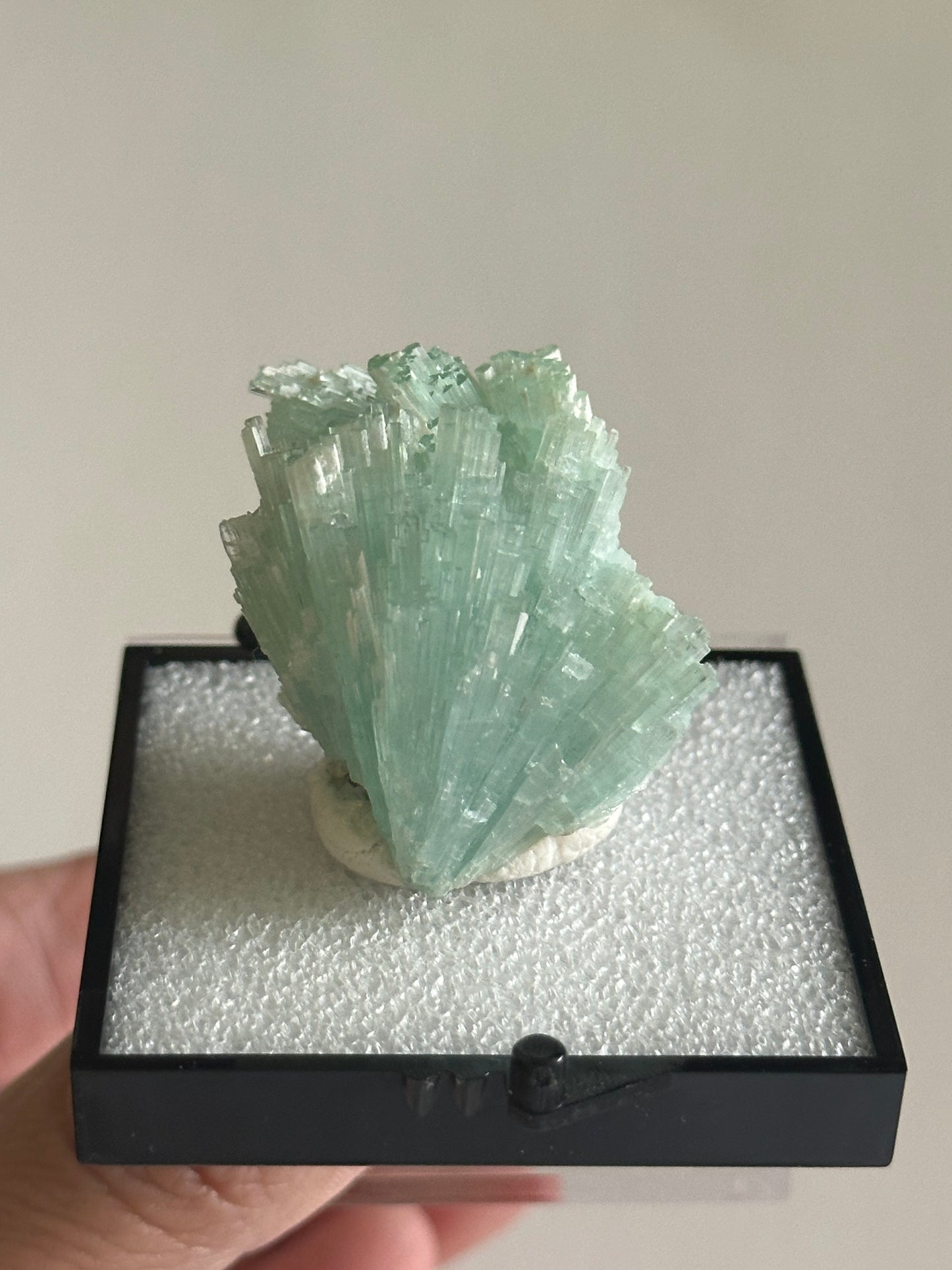 Tourmaline Spray Specimen