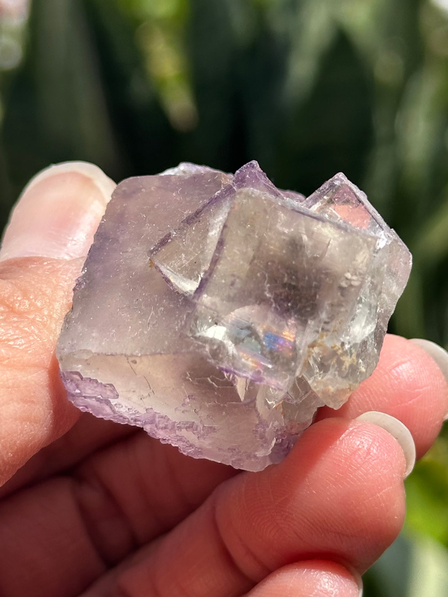 Galaxy Fluorite