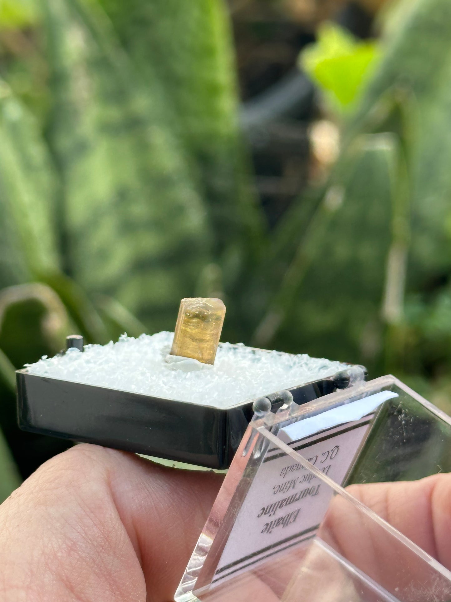 Elbaite Tourmaline