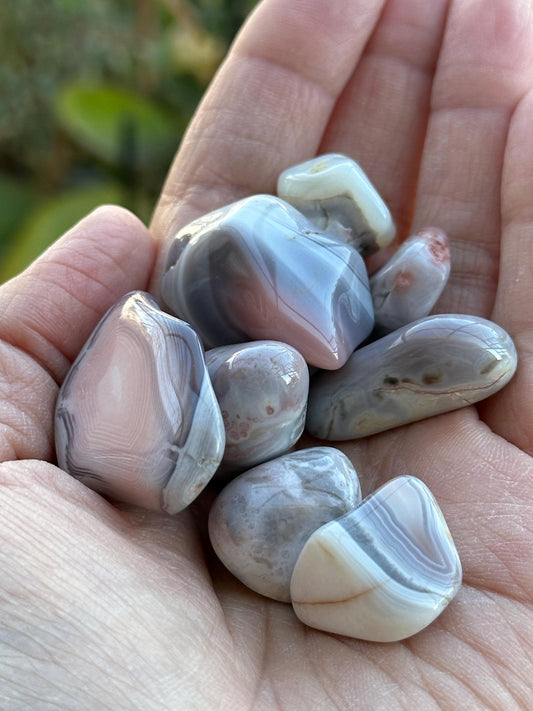 One (1) Botswana Agate Tumble