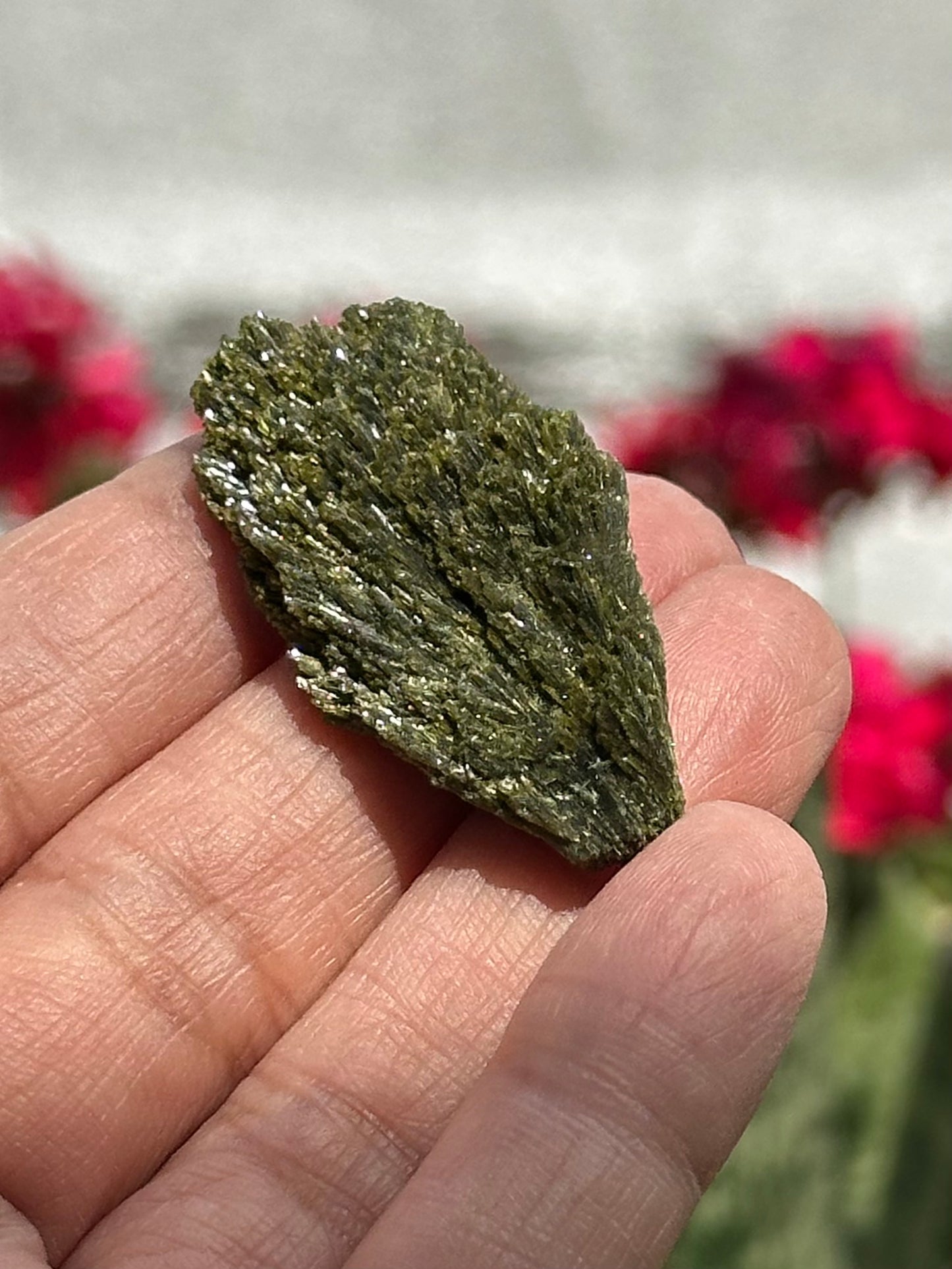 Epidote Fan