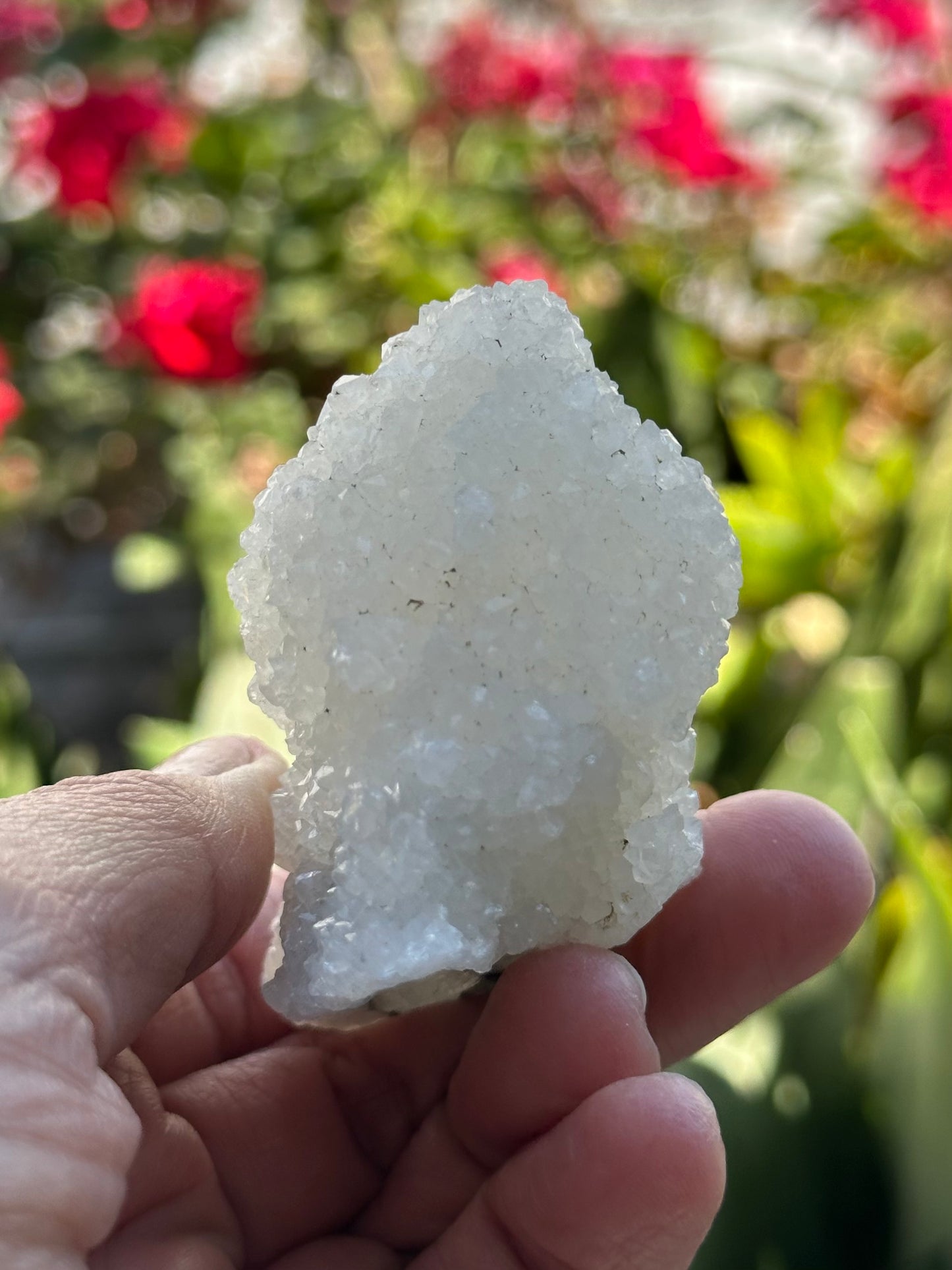 Apophyllite Specimen from India