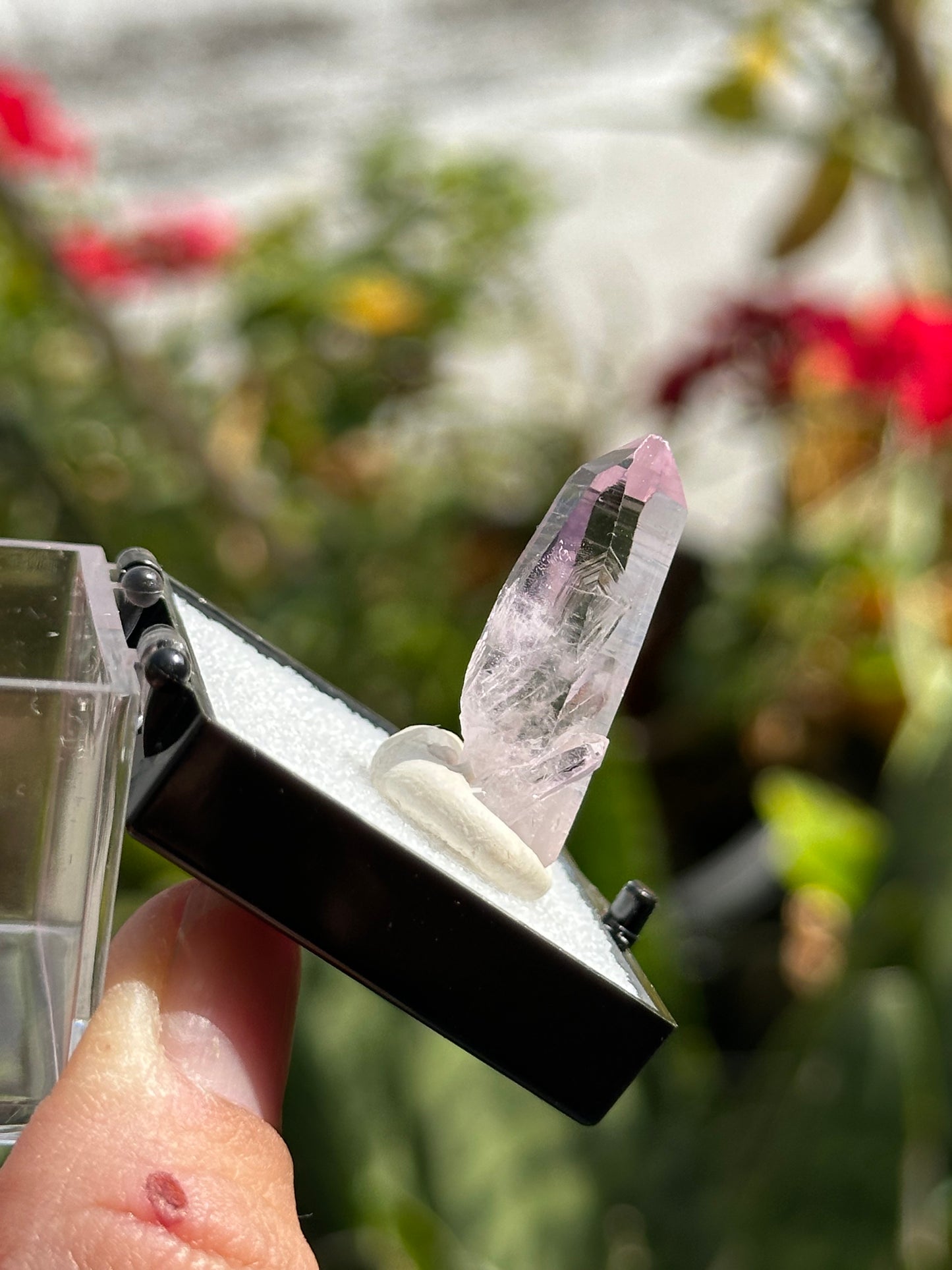 Veracruz Amethyst Crystal