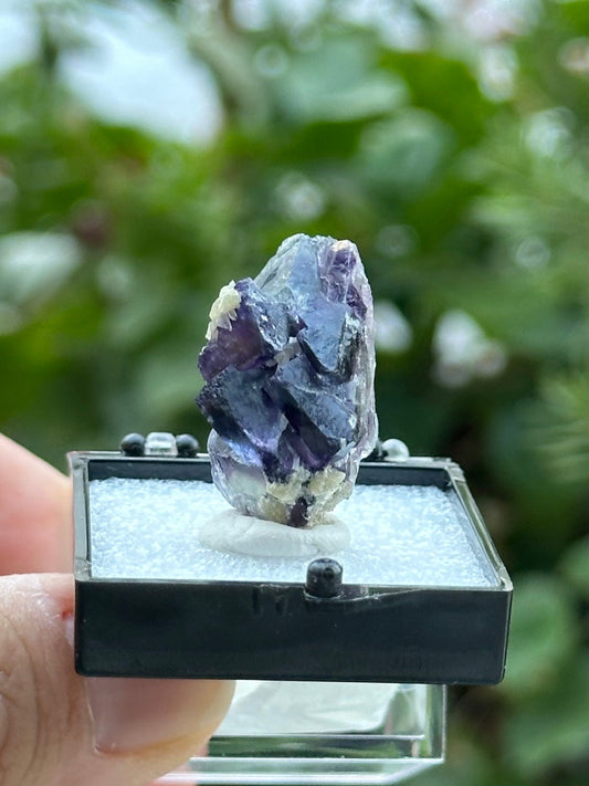 Fluorite Specimen in a perky box from the Yindu Mine, Inner Mongolia, China