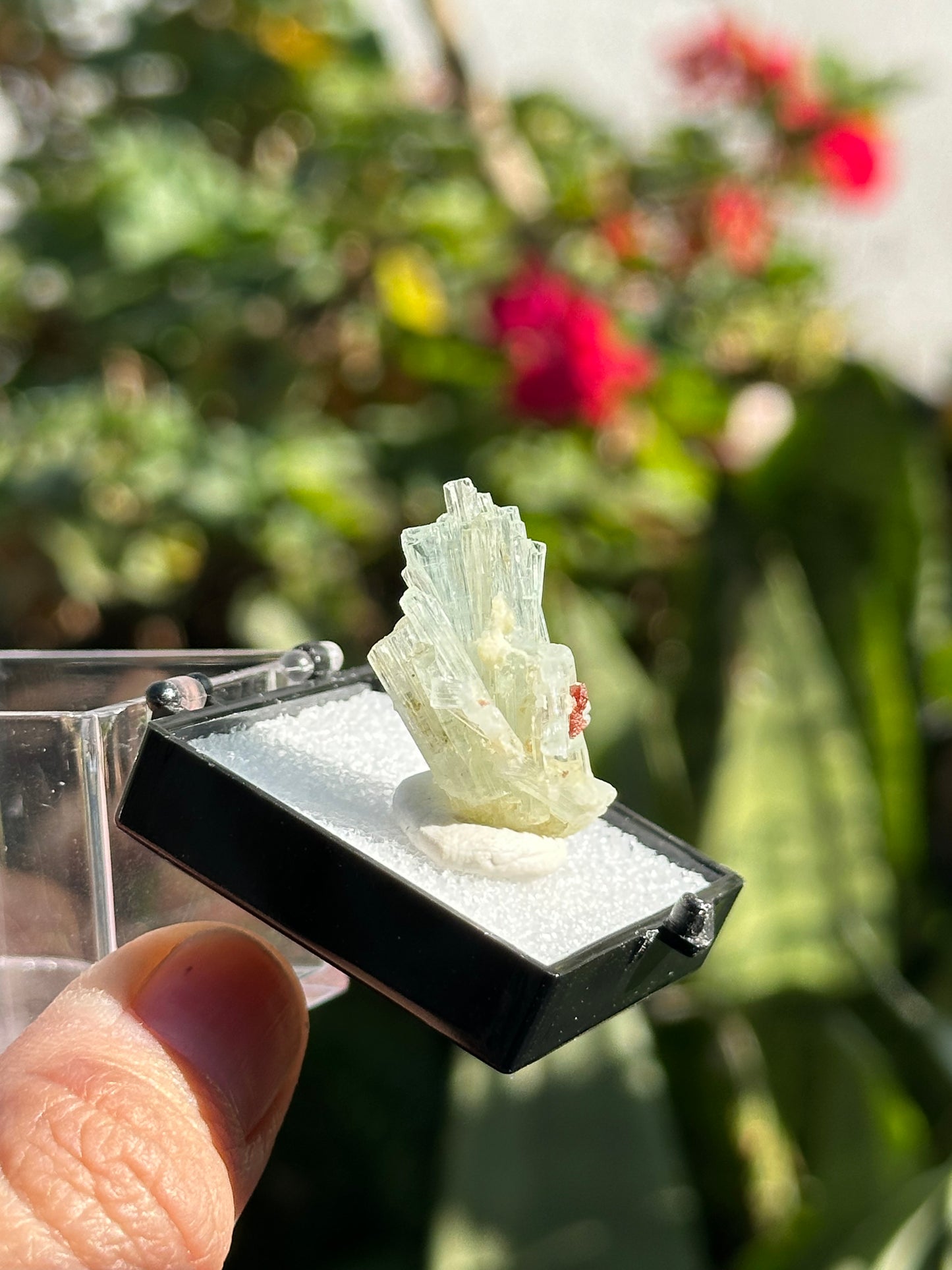 Aquamarine with Garnet