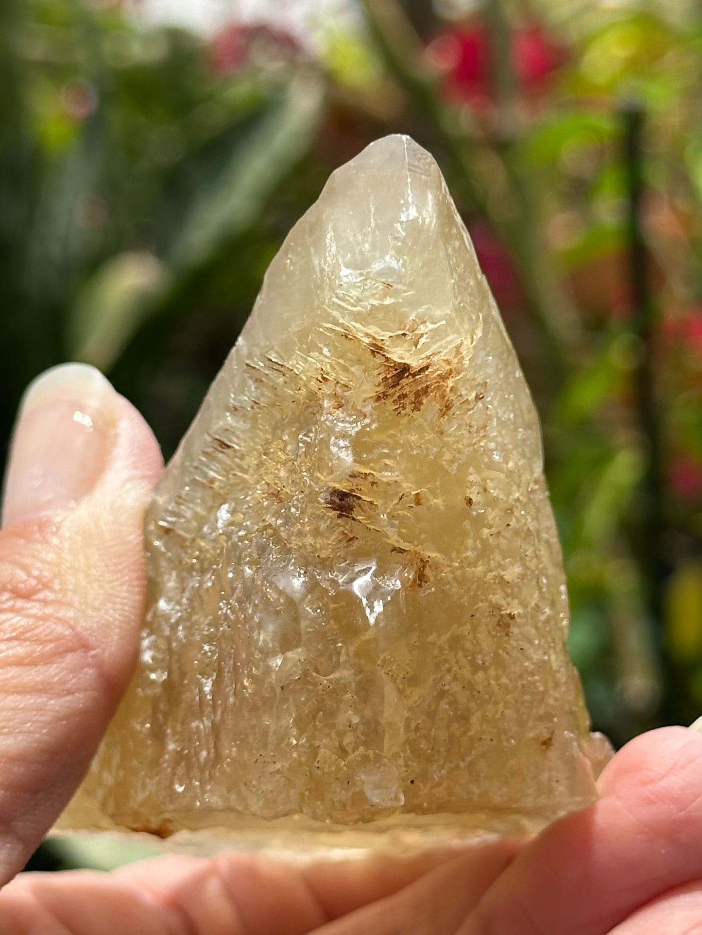 Etched Calcite with Galena