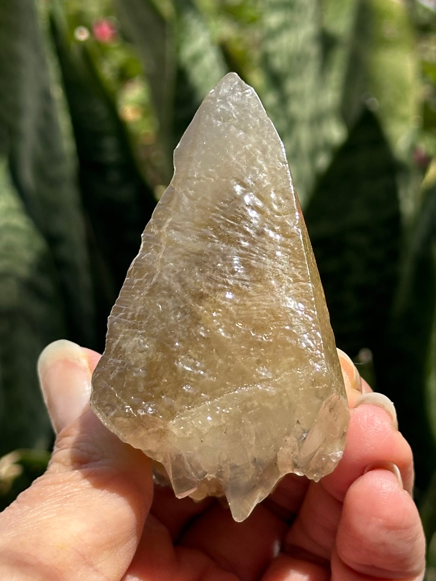 Etched Calcite with Galena