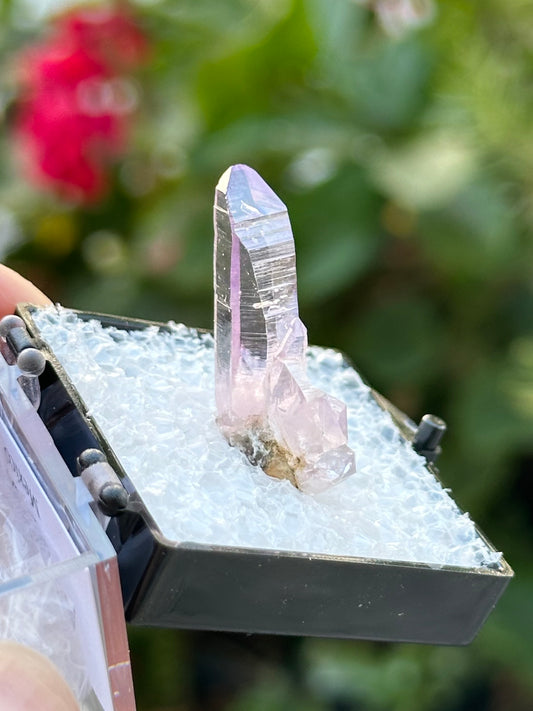 Veracruz Amethyst