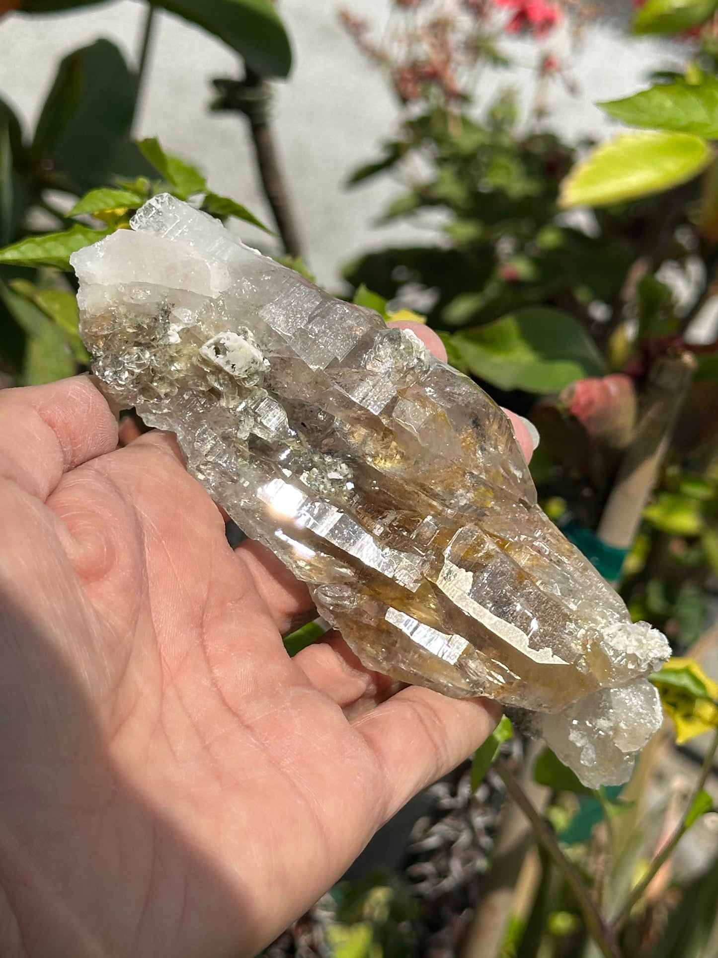 Swiss Quartz Specimen