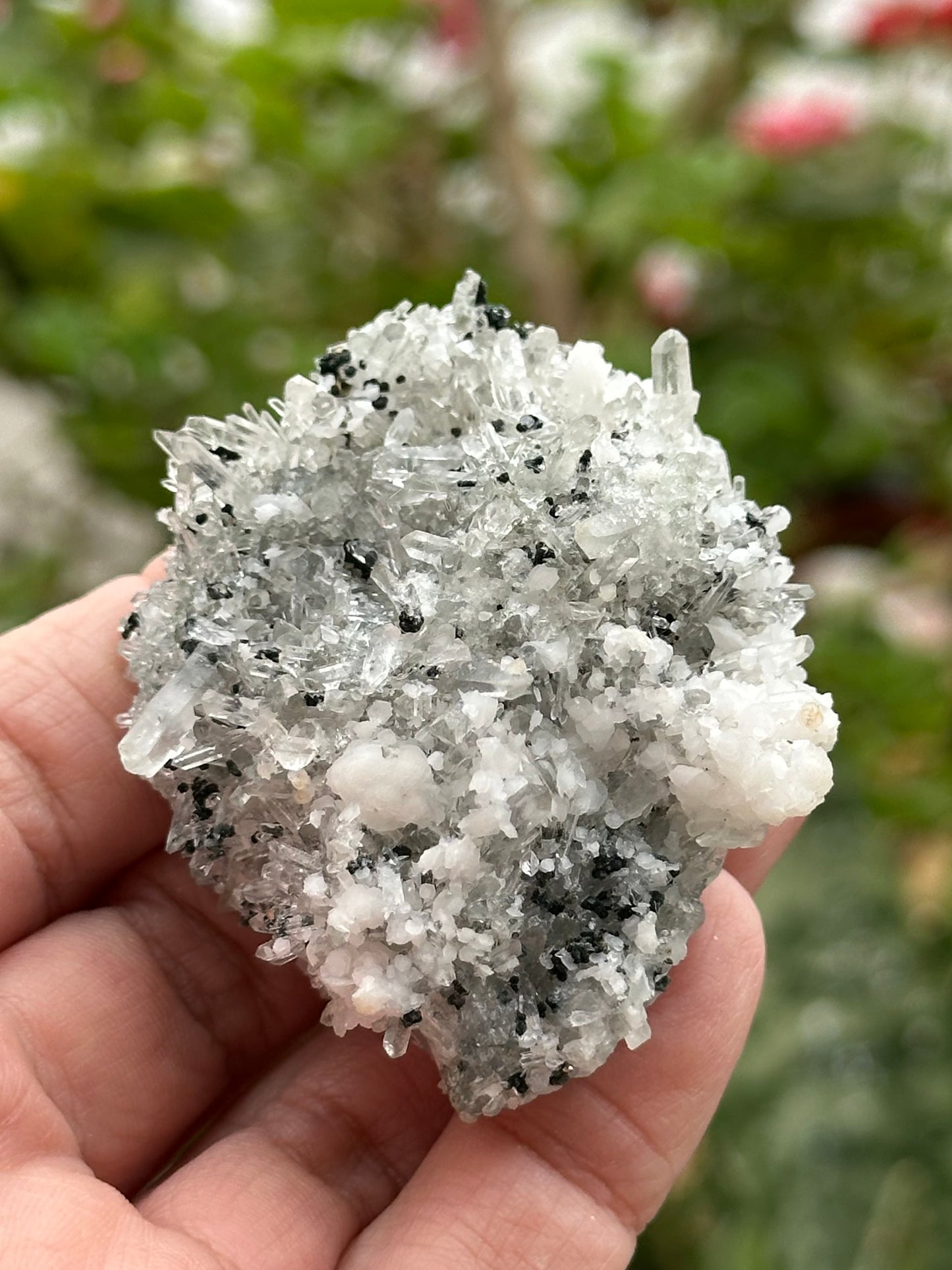 Quartz Specimen from Bulgaria