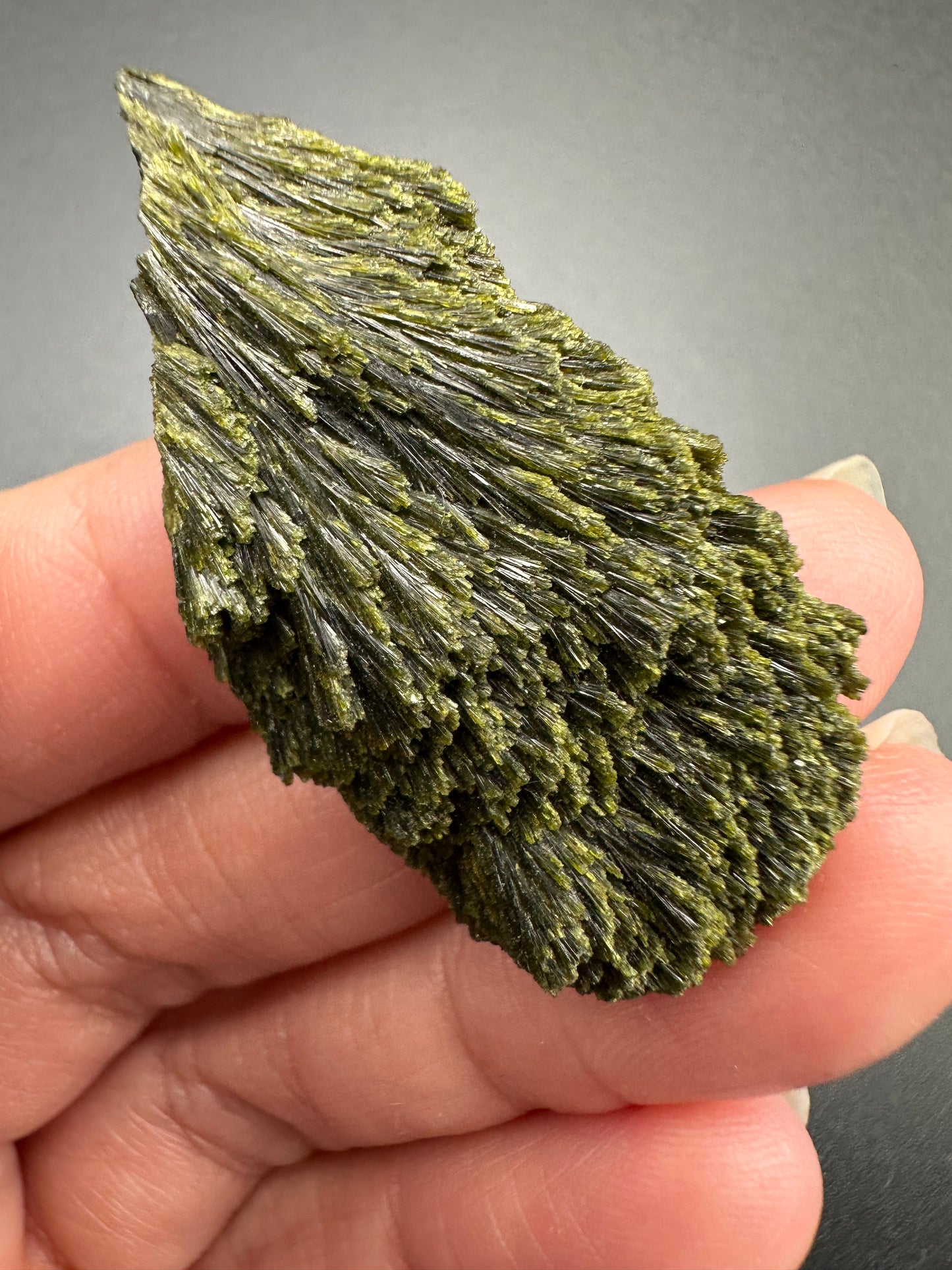 Epidote Fan