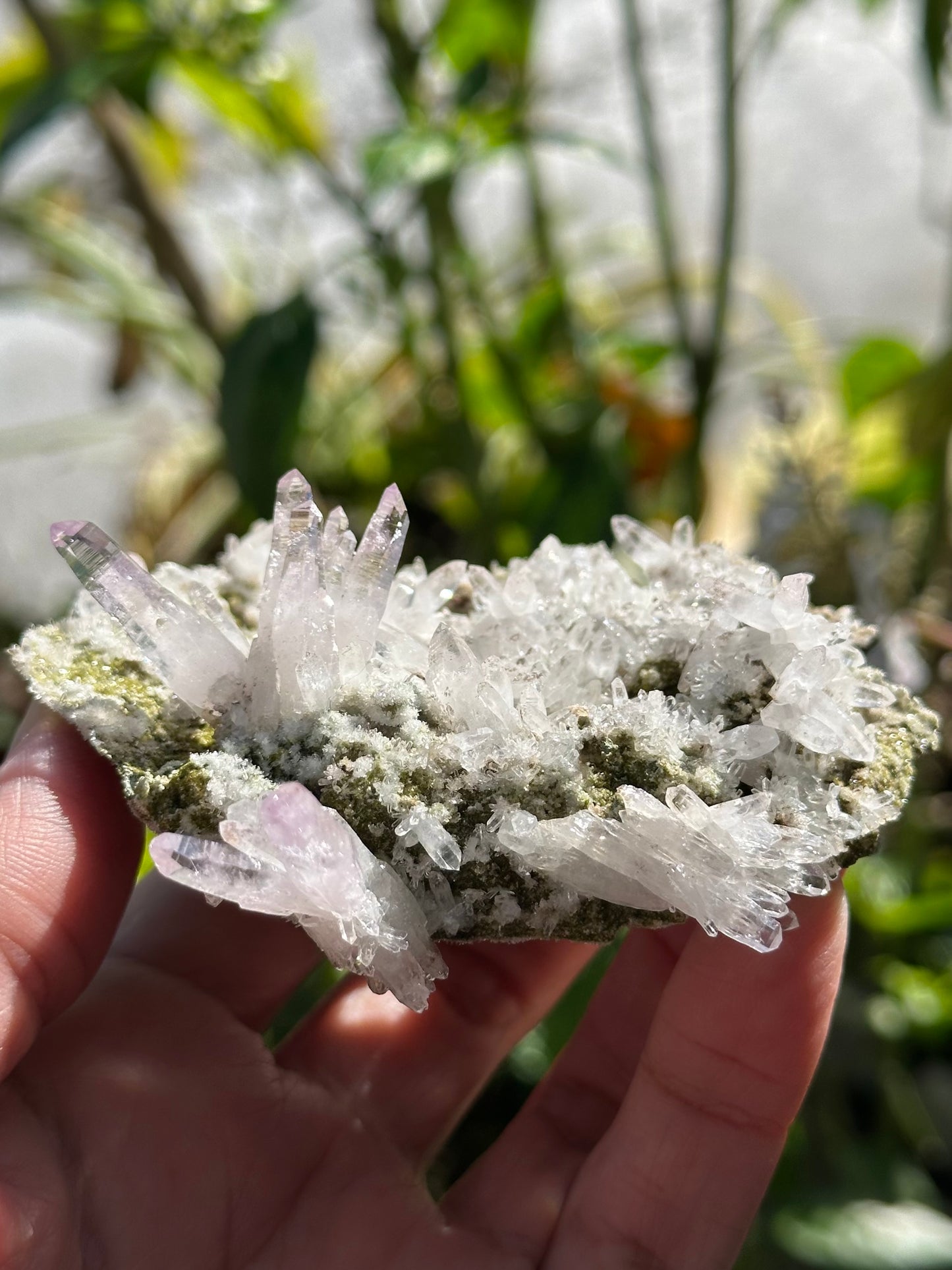 Veracruz Amethyst Crystals on Matrix